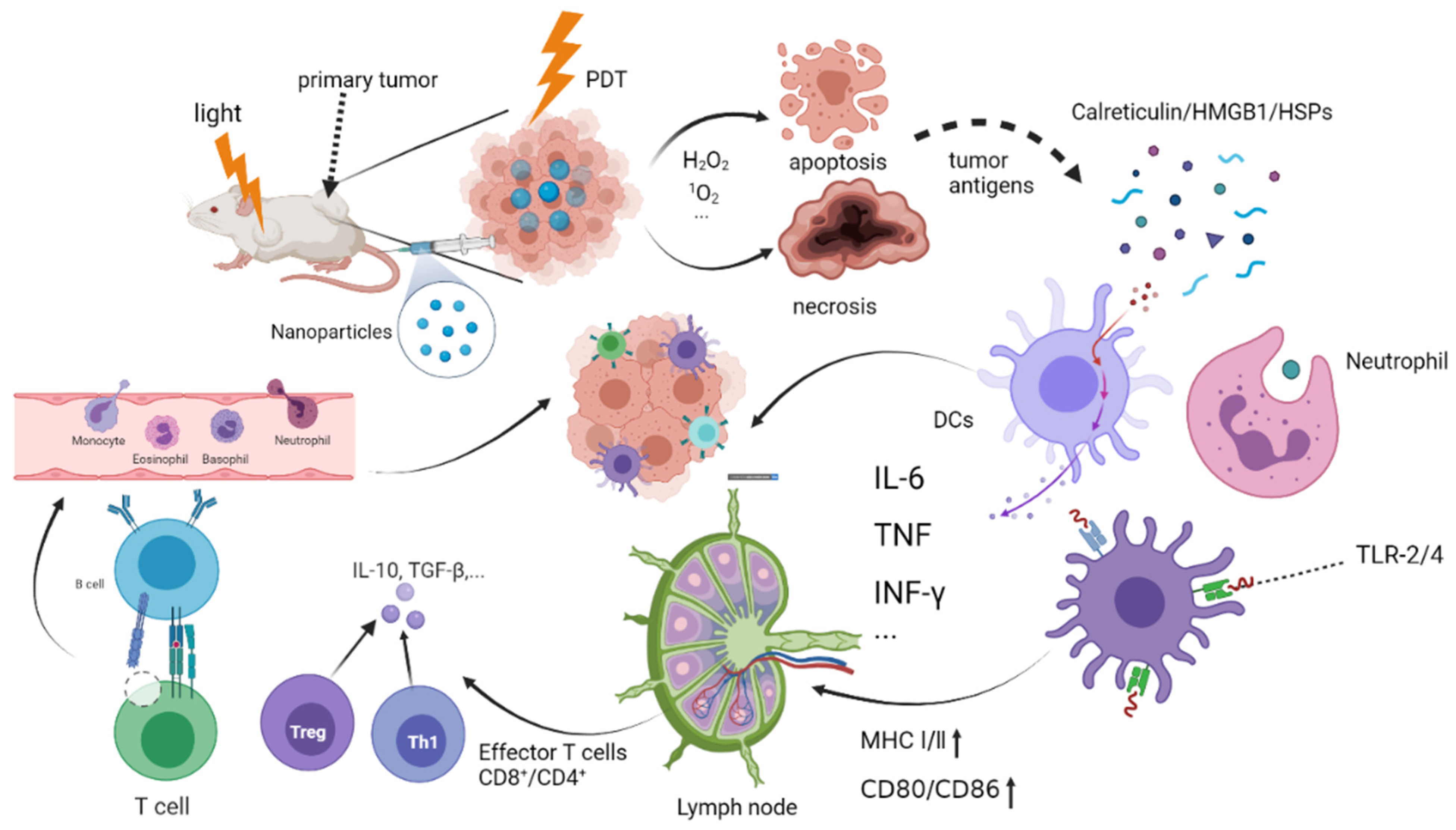 Pharmaceuticals 15 01359 g001