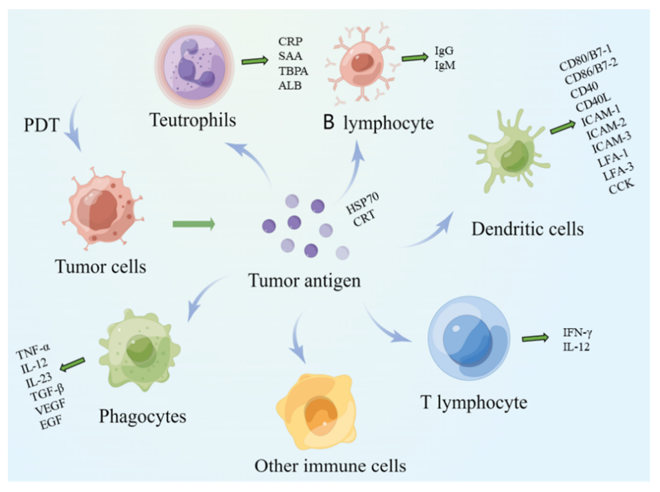 Pharmaceuticals 15 01359 g002