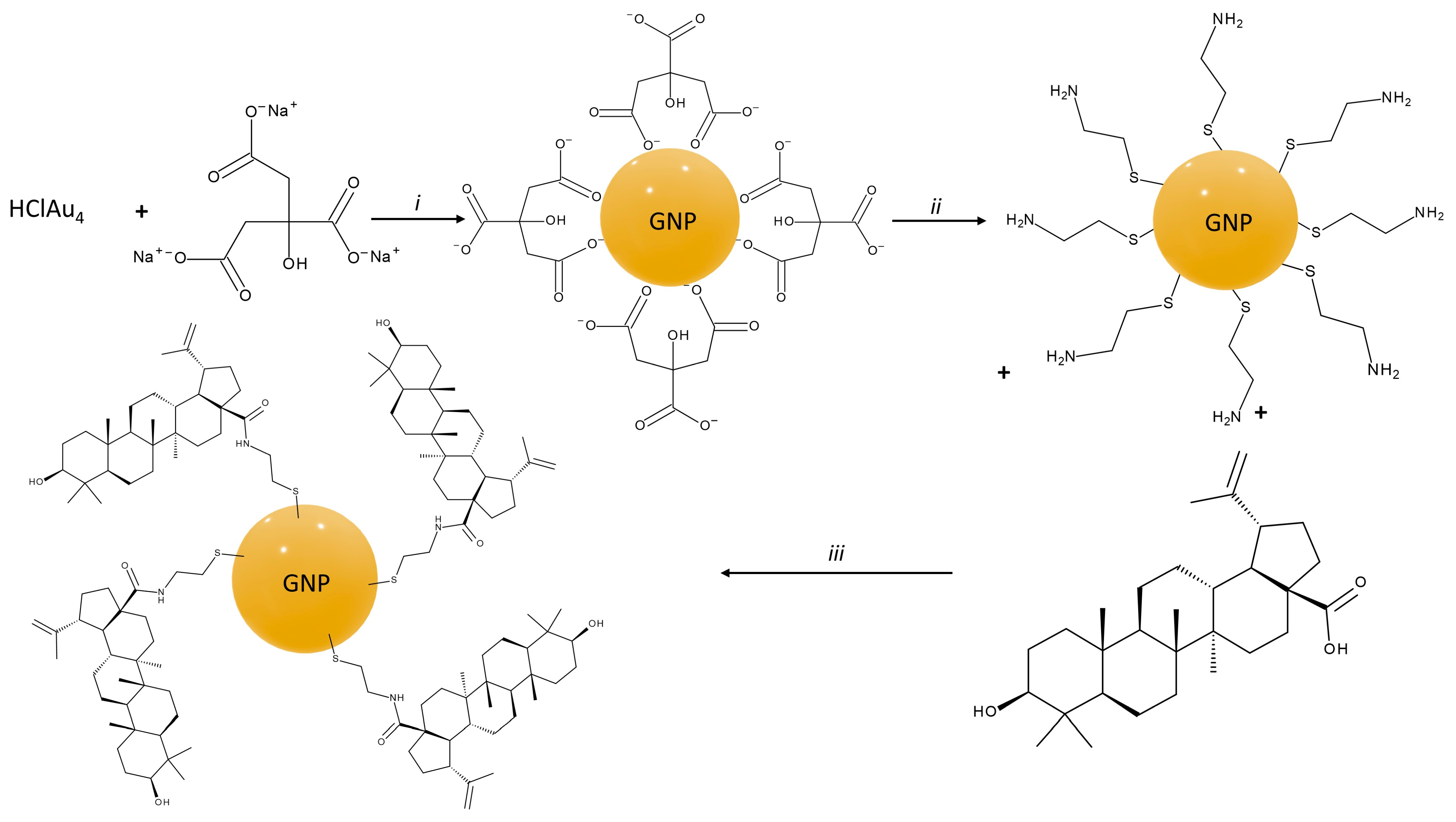 Pharmaceuticals 15 01362 g001