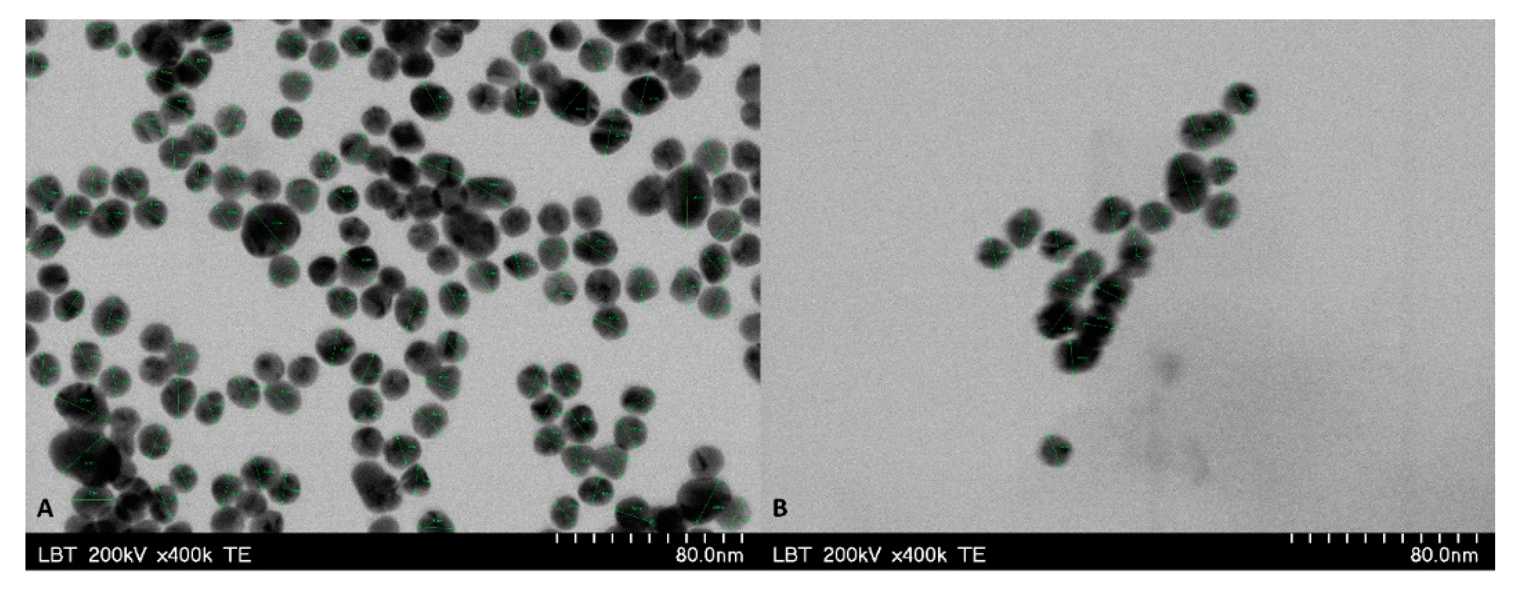 Pharmaceuticals 15 01362 g004