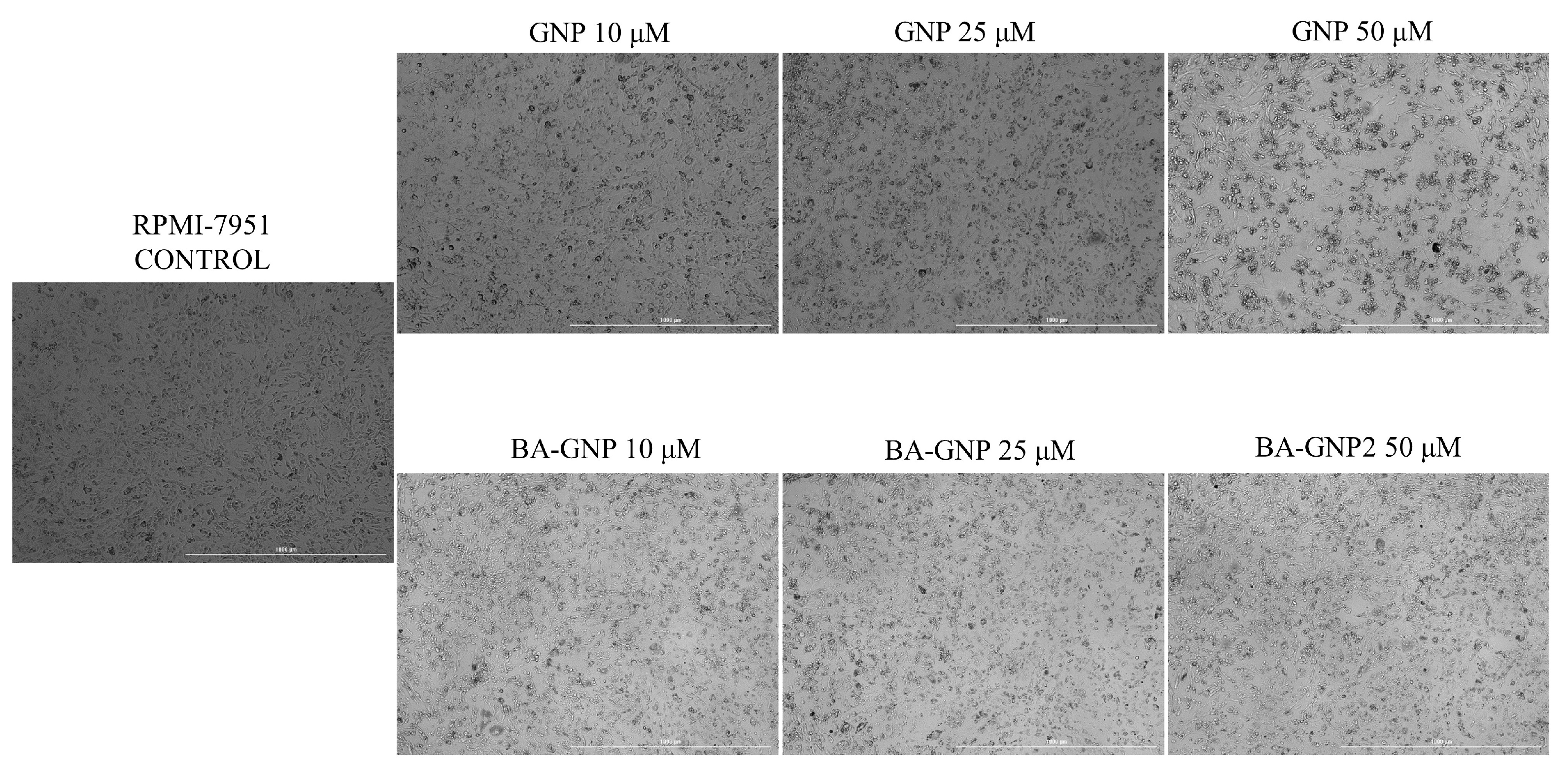 Pharmaceuticals 15 01362 g009