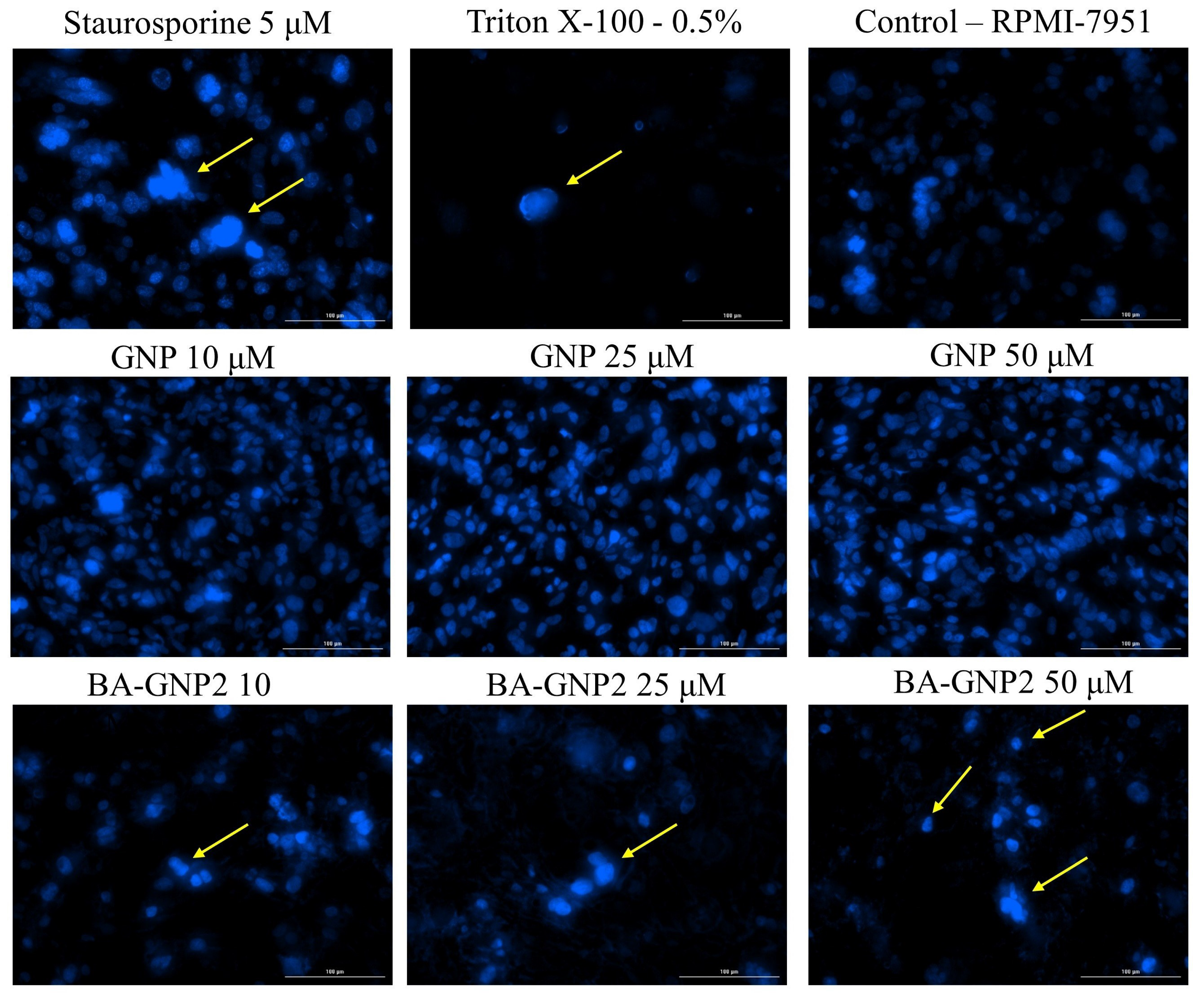 Pharmaceuticals 15 01362 g010