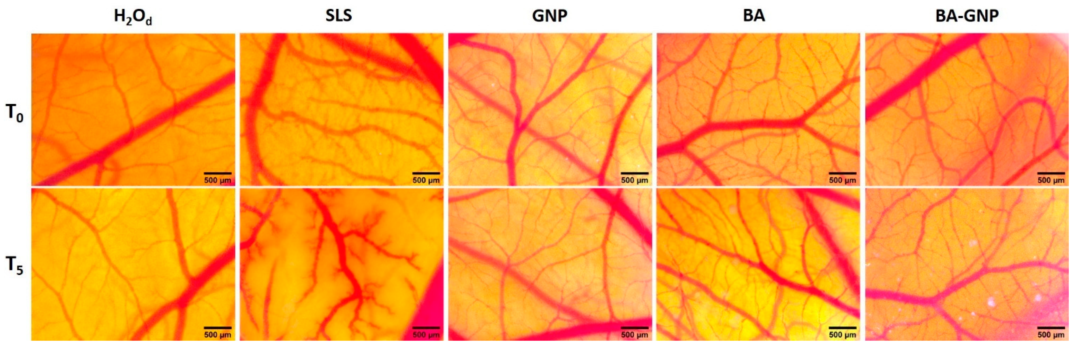 Pharmaceuticals 15 01362 g011