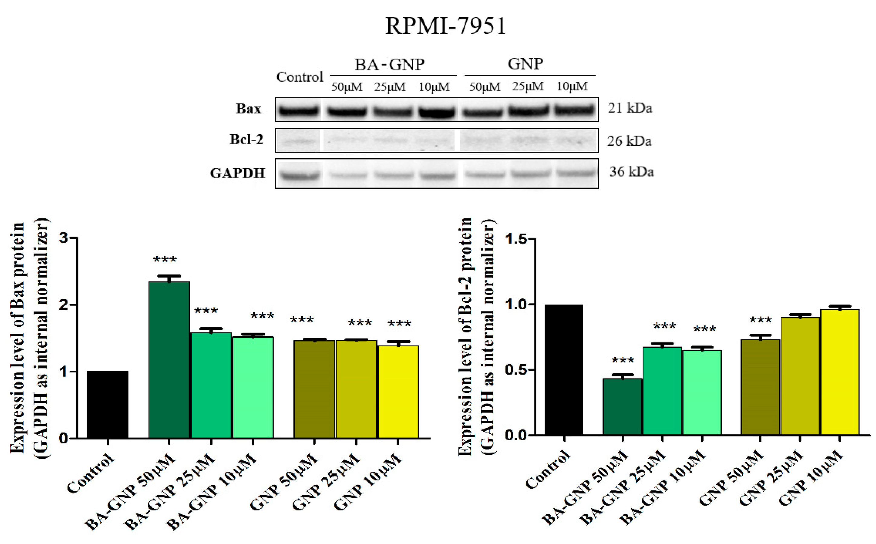 Pharmaceuticals 15 01362 g014
