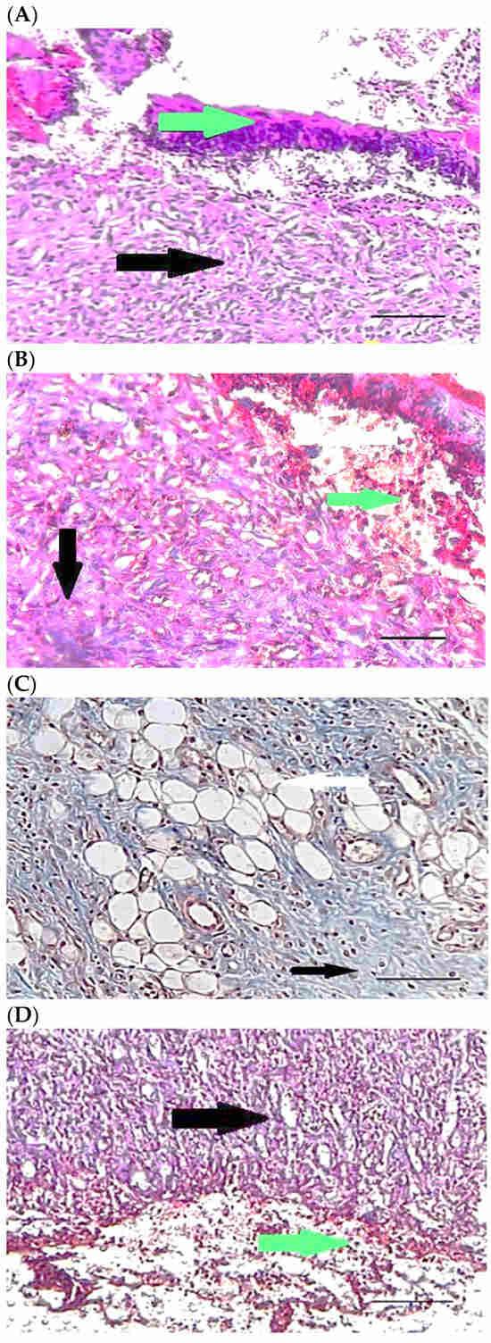 Pharmaceuticals 15 01381 g007