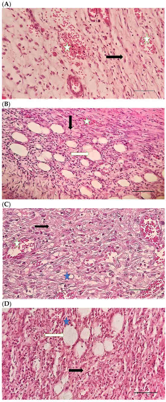 Pharmaceuticals 15 01381 g008