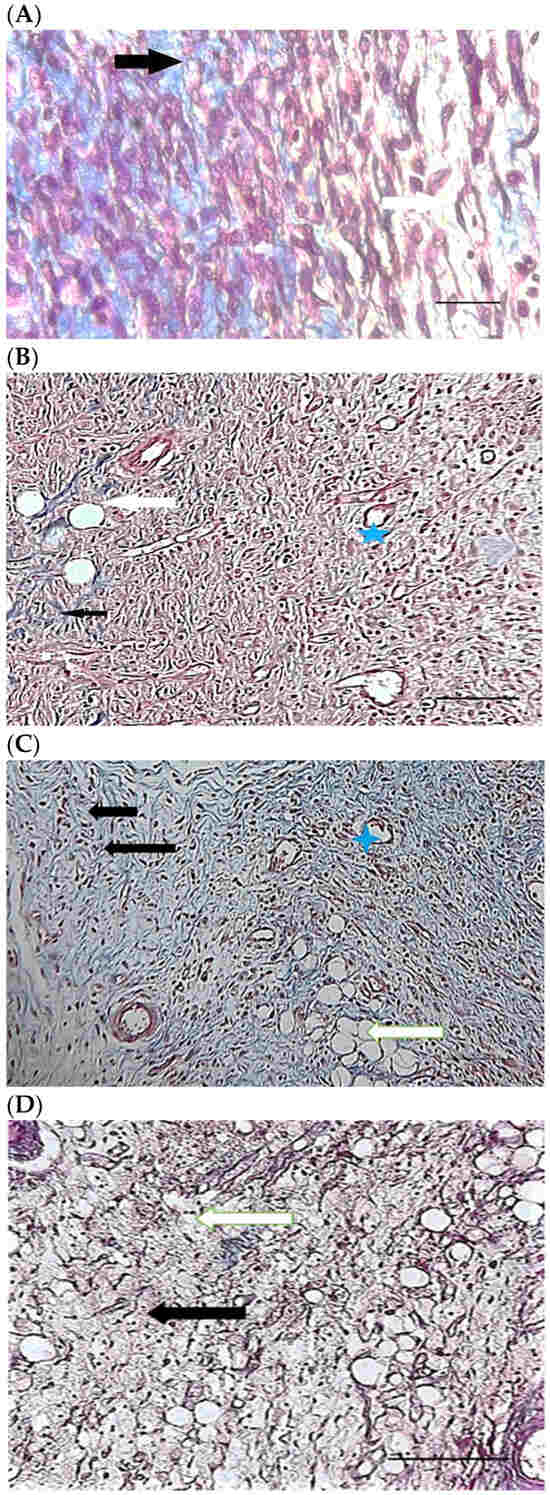 Pharmaceuticals 15 01381 g009
