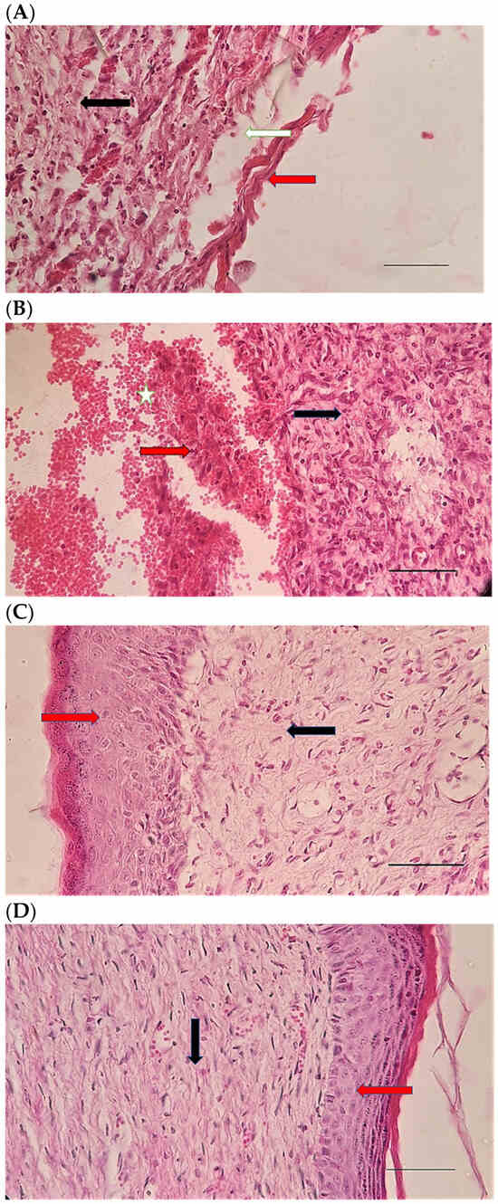 Pharmaceuticals 15 01381 g010