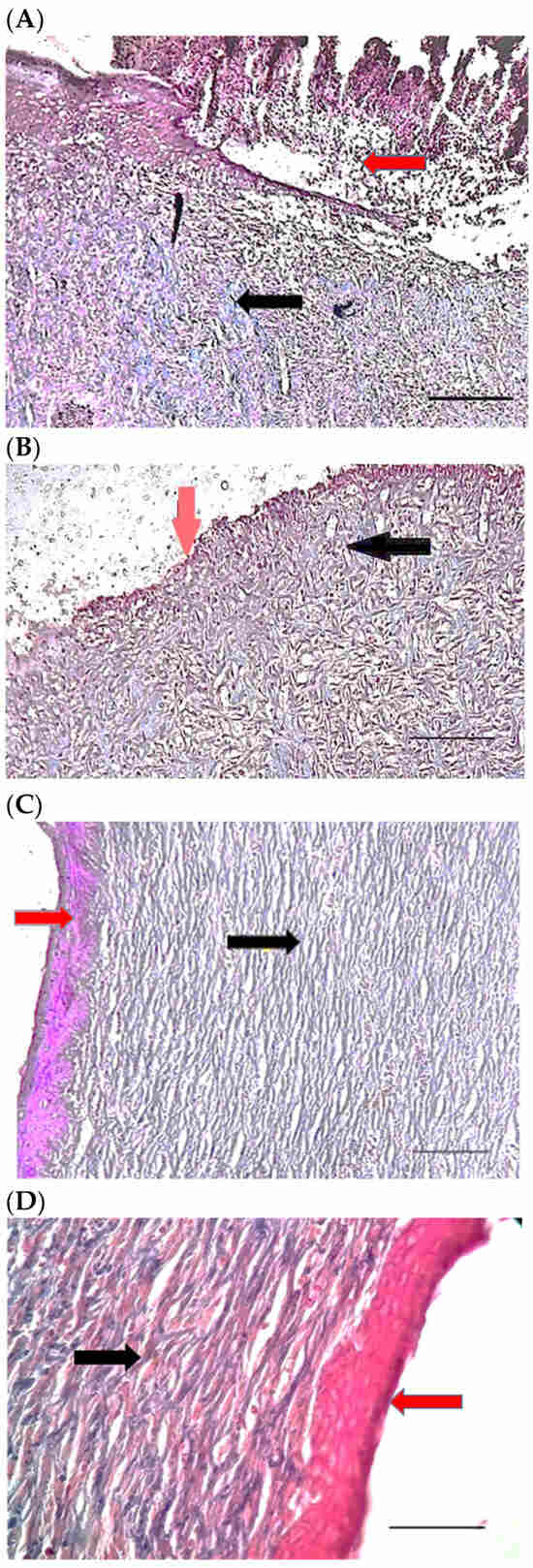 Pharmaceuticals 15 01381 g011