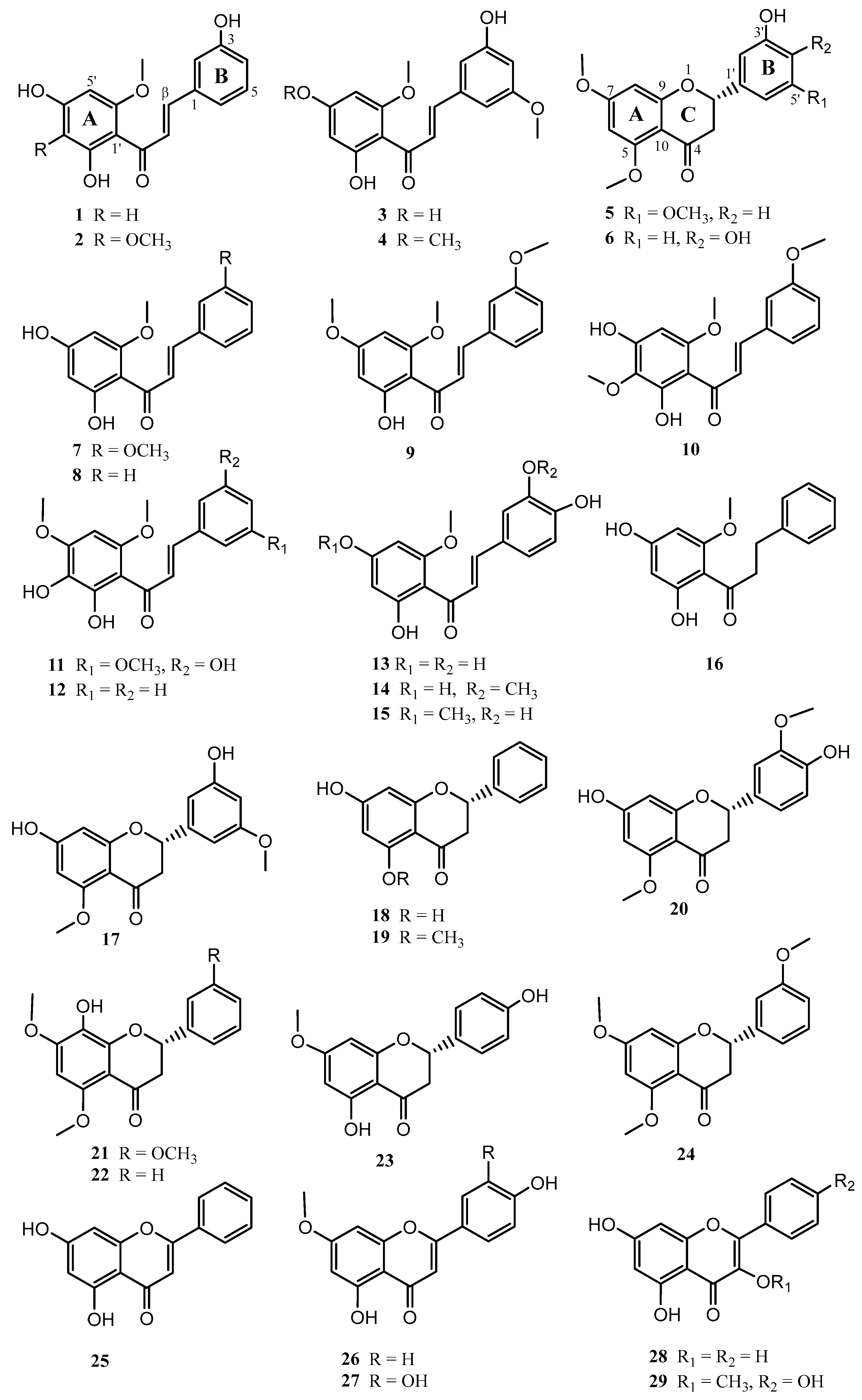 Pharmaceuticals 15 01386 g001