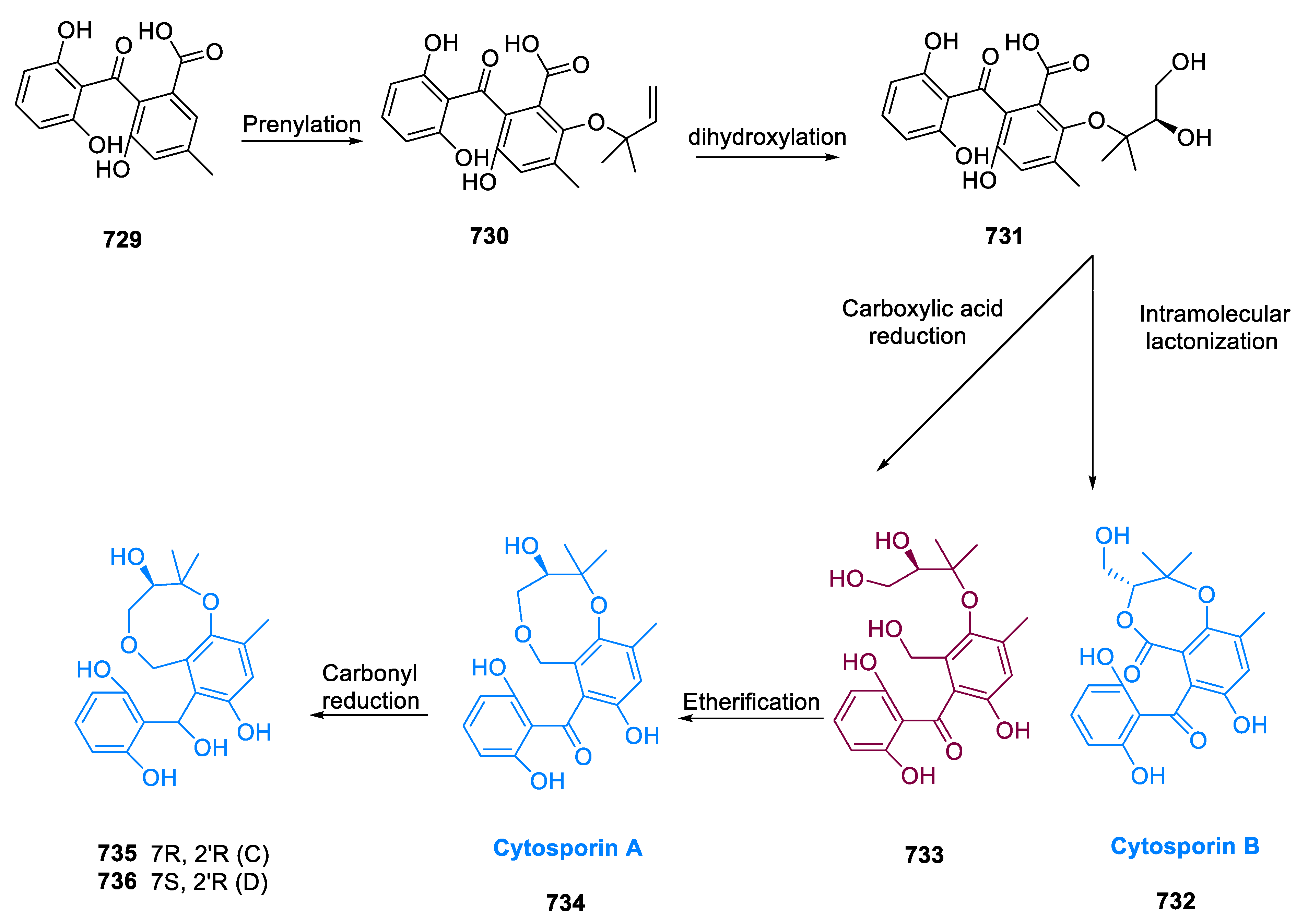 Pharmaceuticals 15 01392 sch044