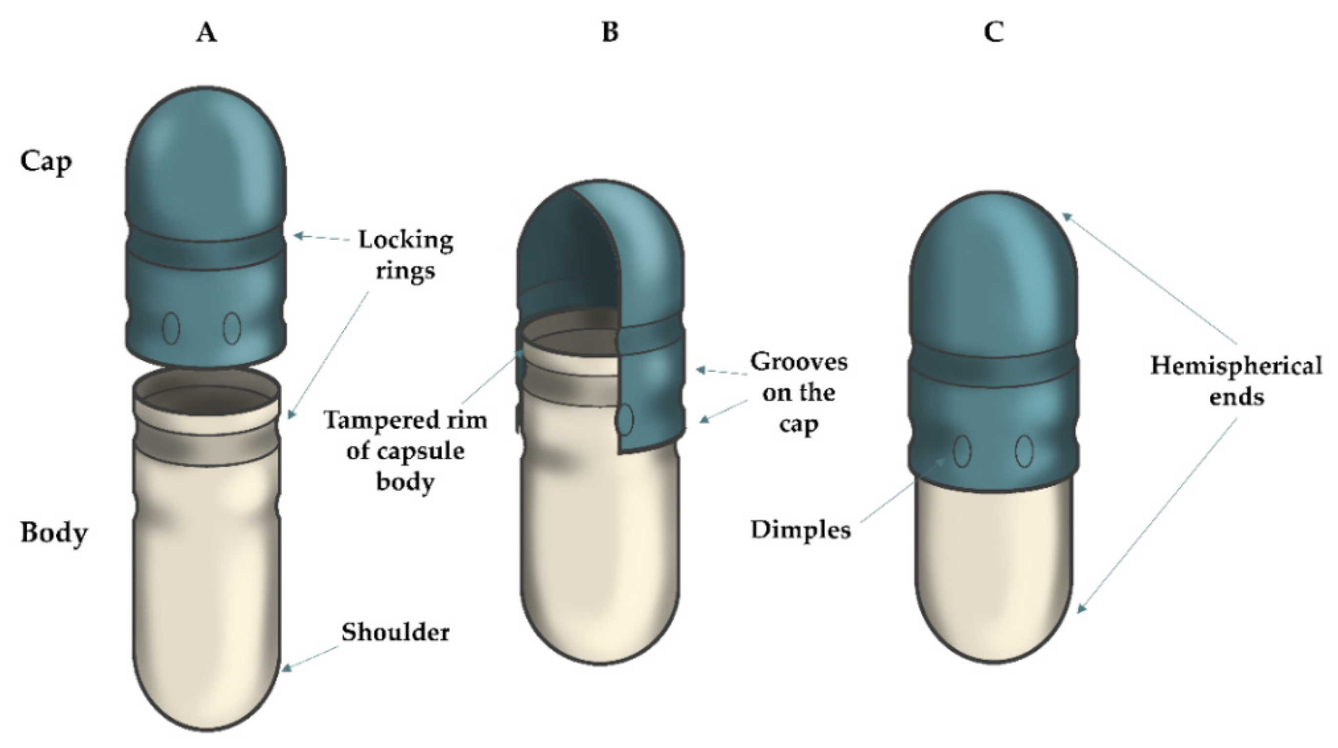 Pharmaceuticals 15 01398 g001