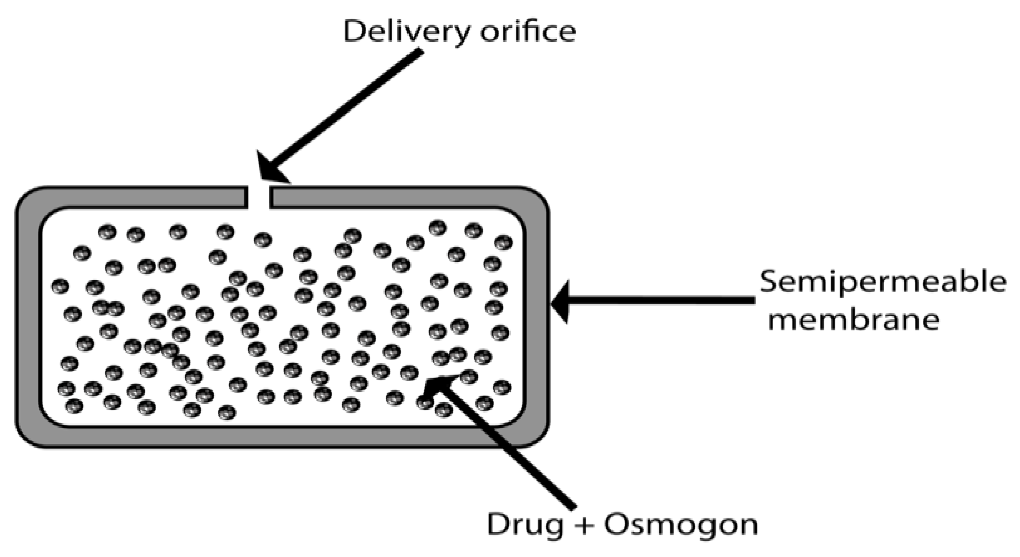Pharmaceuticals 15 01430 g005