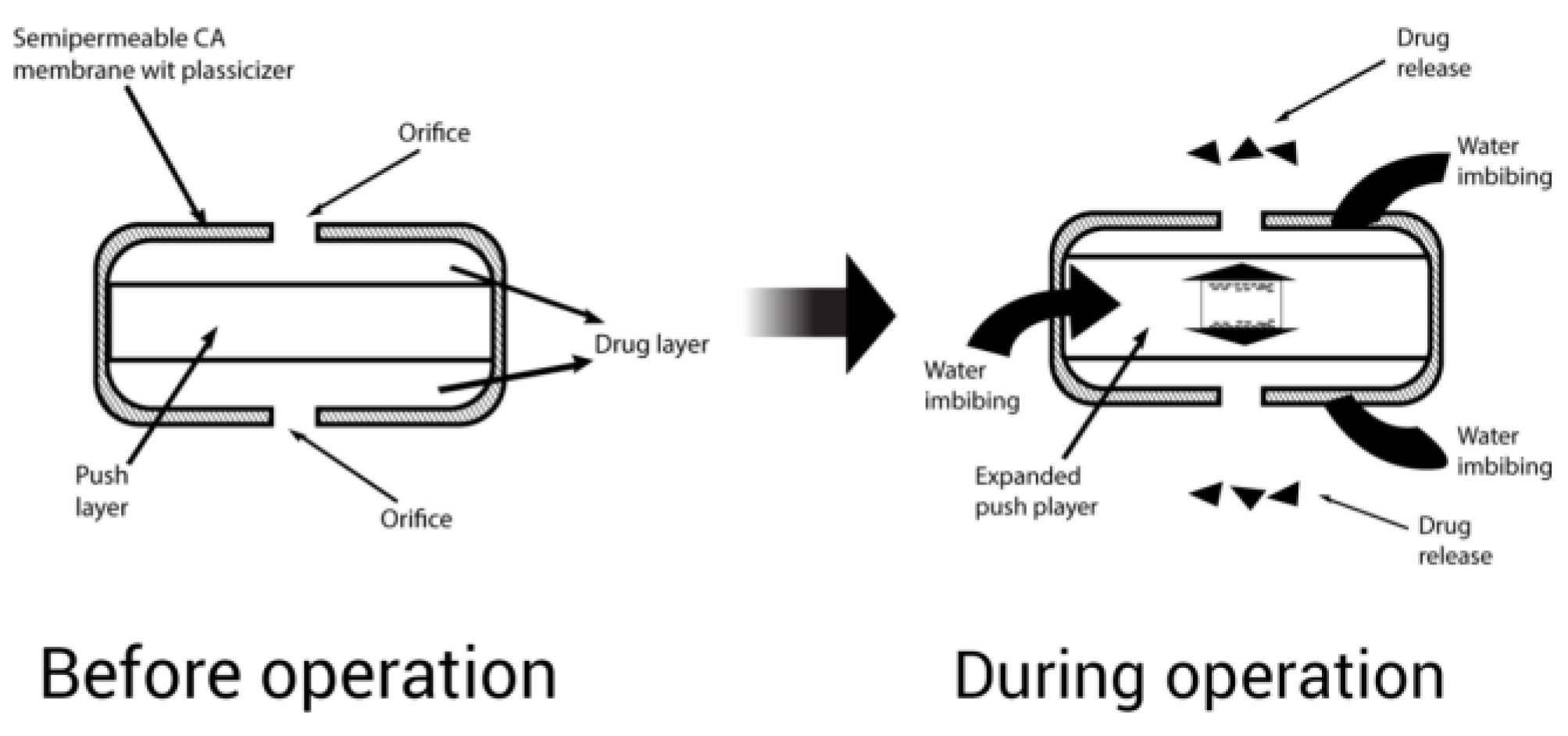 Pharmaceuticals 15 01430 g007