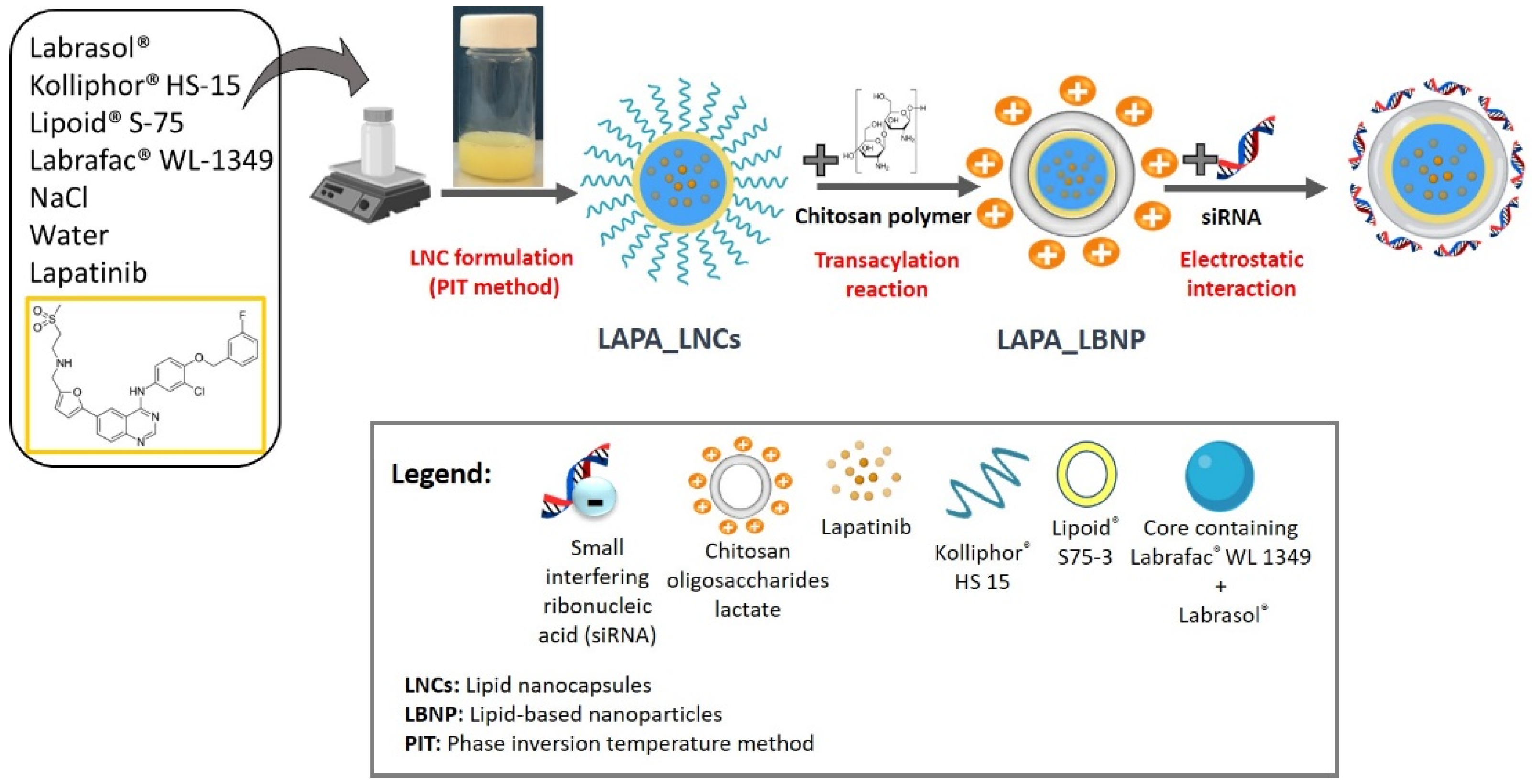 Pharmaceuticals 15 01452 g001