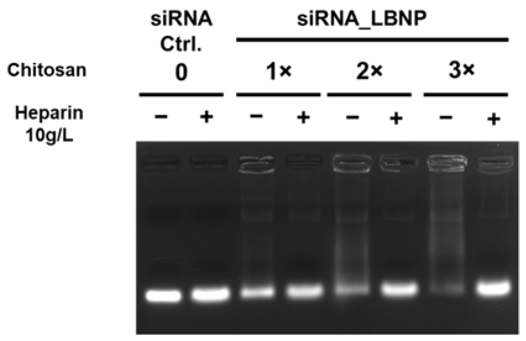 Pharmaceuticals 15 01452 g002