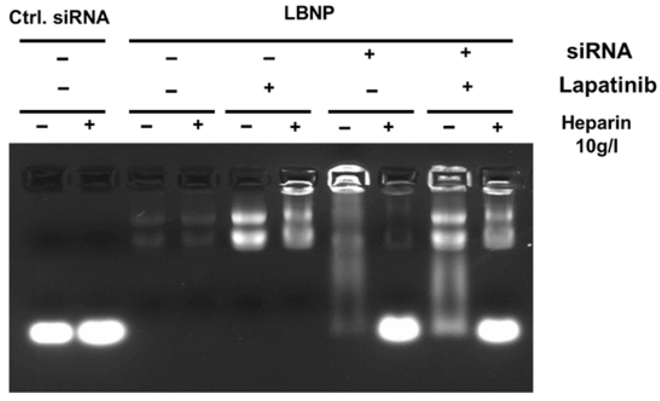 Pharmaceuticals 15 01452 g003
