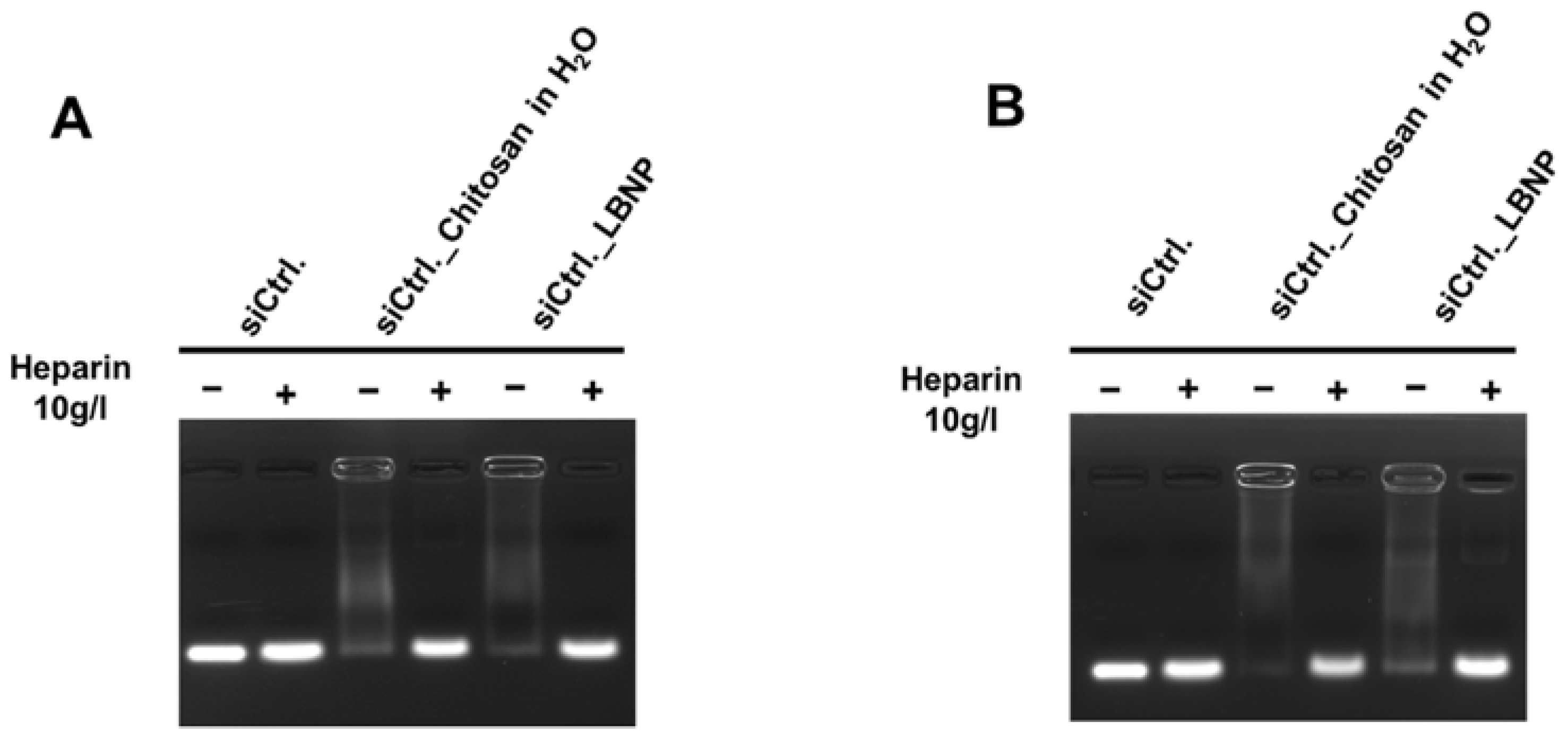 Pharmaceuticals 15 01452 g005