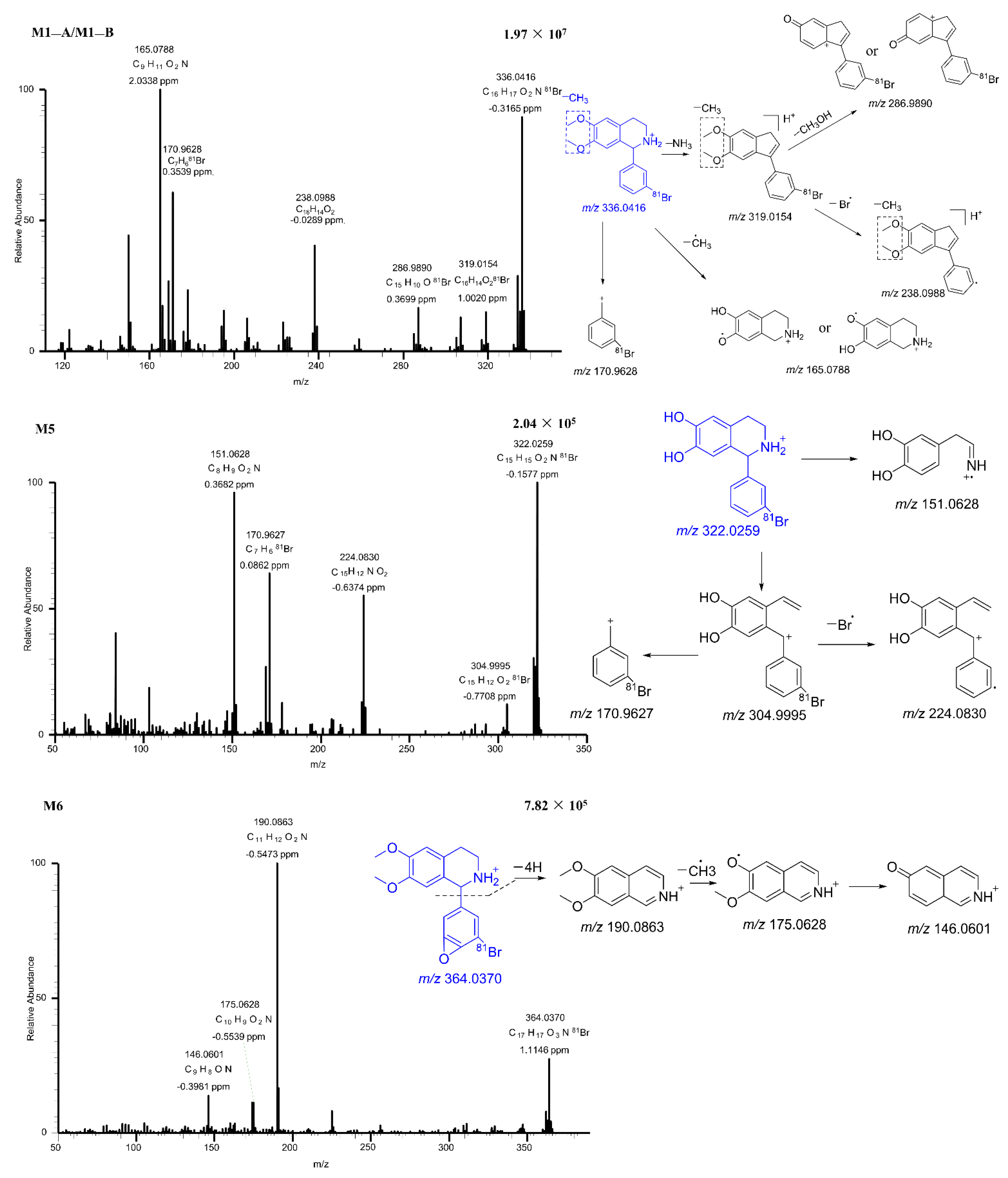 Pharmaceuticals 15 01483 g005