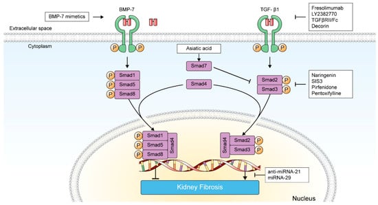 Pharmaceuticals 15 01485 g002