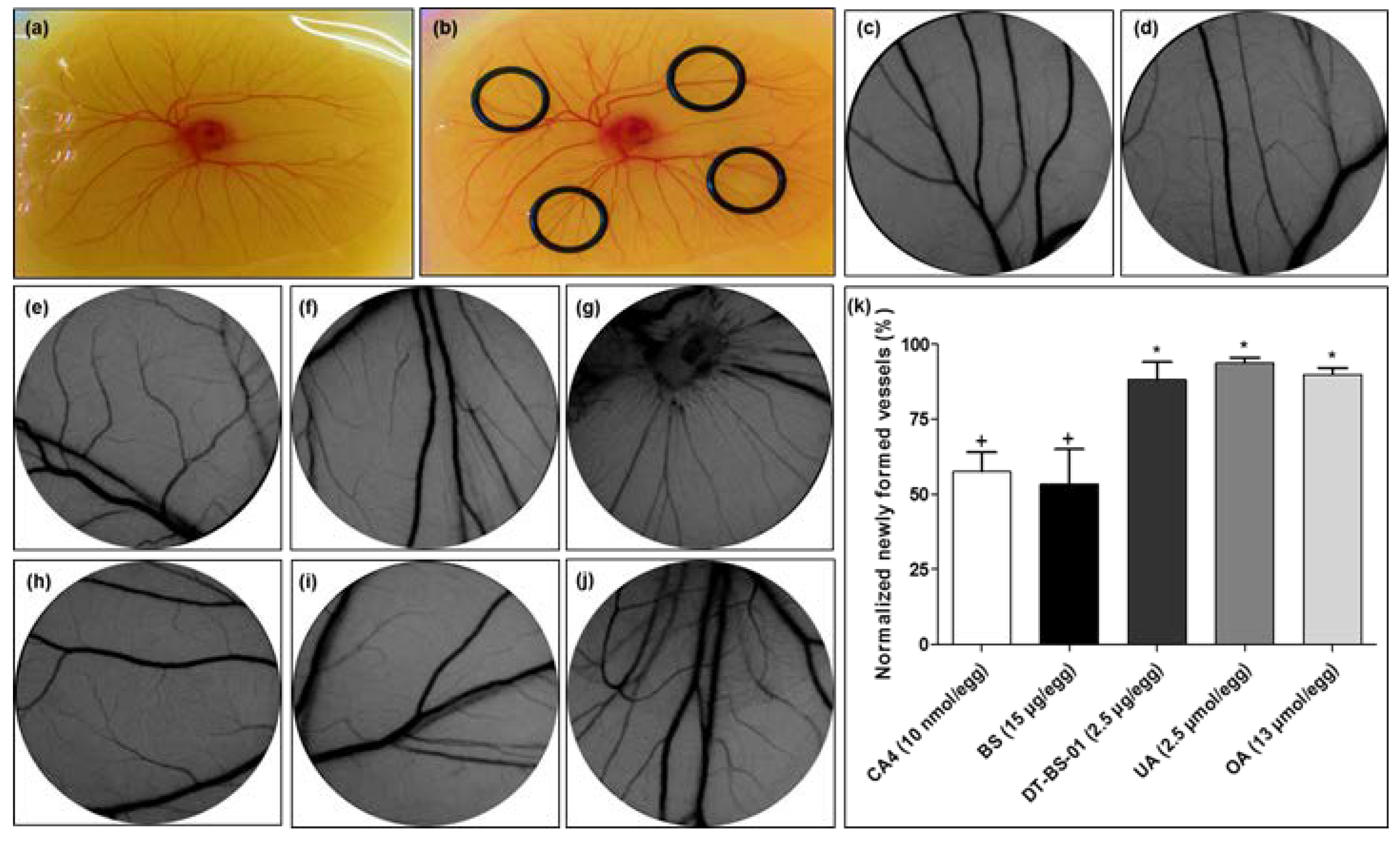 Pharmaceuticals 15 01497 g008