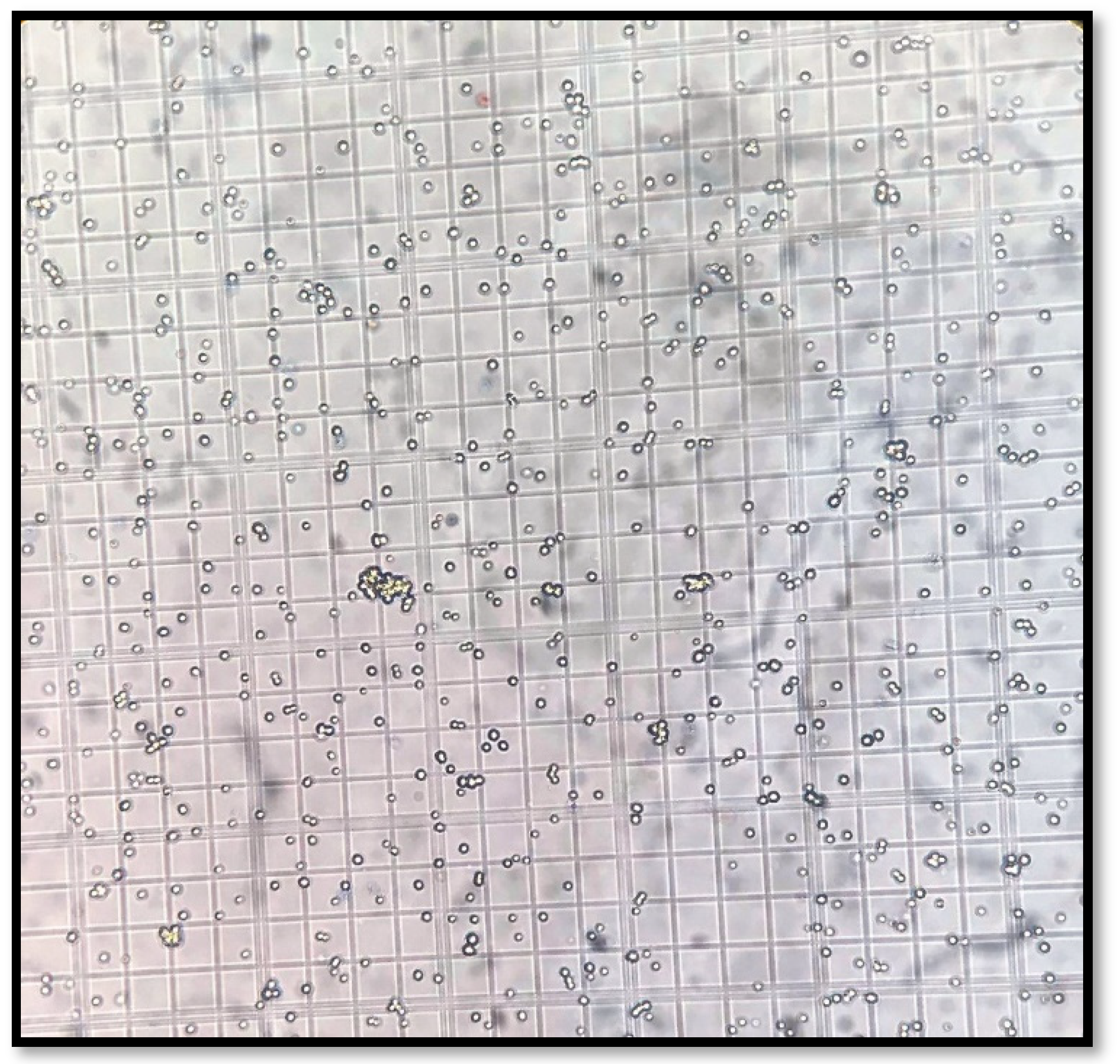 Pharmaceuticals 15 01504 g010