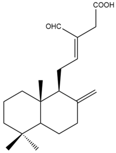 Pharmaceuticals 15 01517 i084