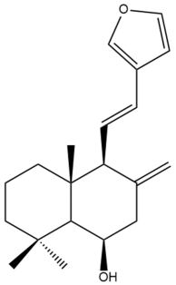 Pharmaceuticals 15 01517 i113