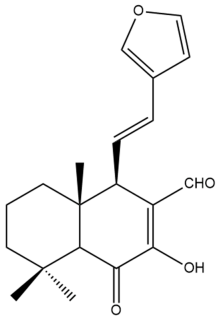 Pharmaceuticals 15 01517 i115