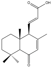 Pharmaceuticals 15 01517 i116