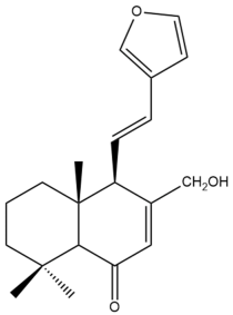Pharmaceuticals 15 01517 i117
