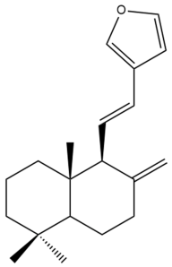 Pharmaceuticals 15 01517 i124