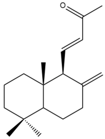 Pharmaceuticals 15 01517 i125