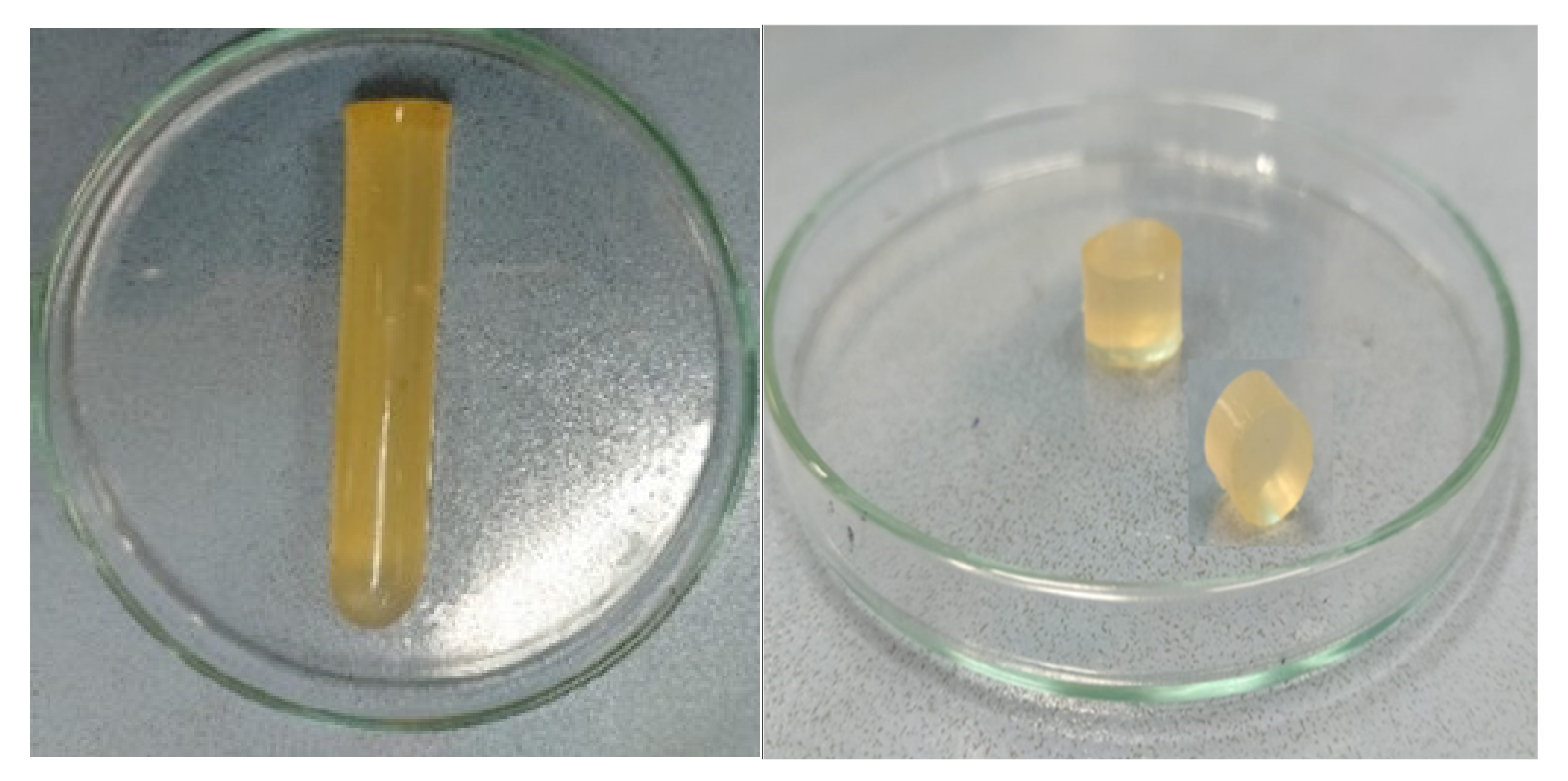 Pharmaceuticals 15 01527 g001 Pharmaceuticals 15 01527 g001