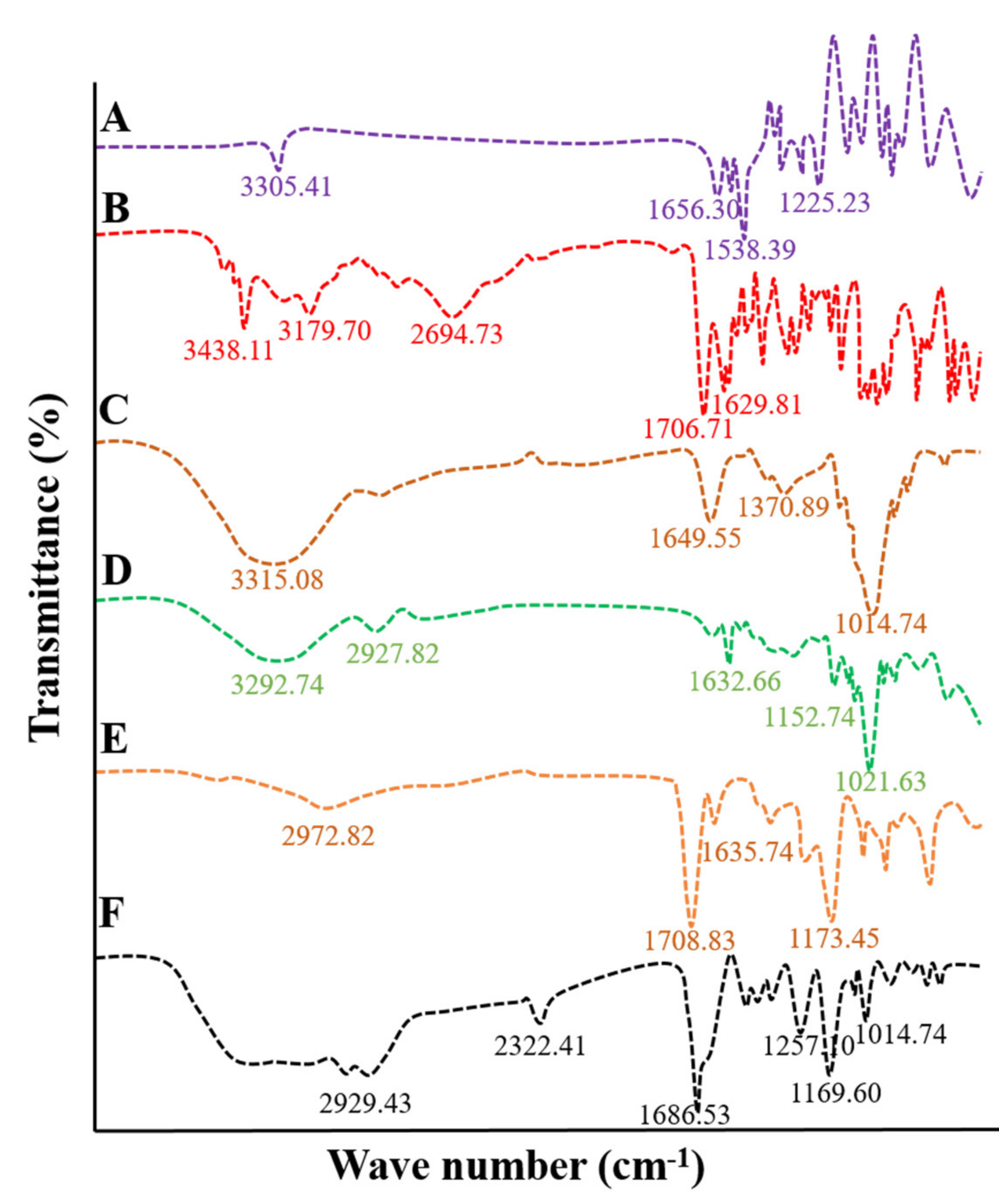 Pharmaceuticals 15 01527 g002 Pharmaceuticals 15 01527 g002
