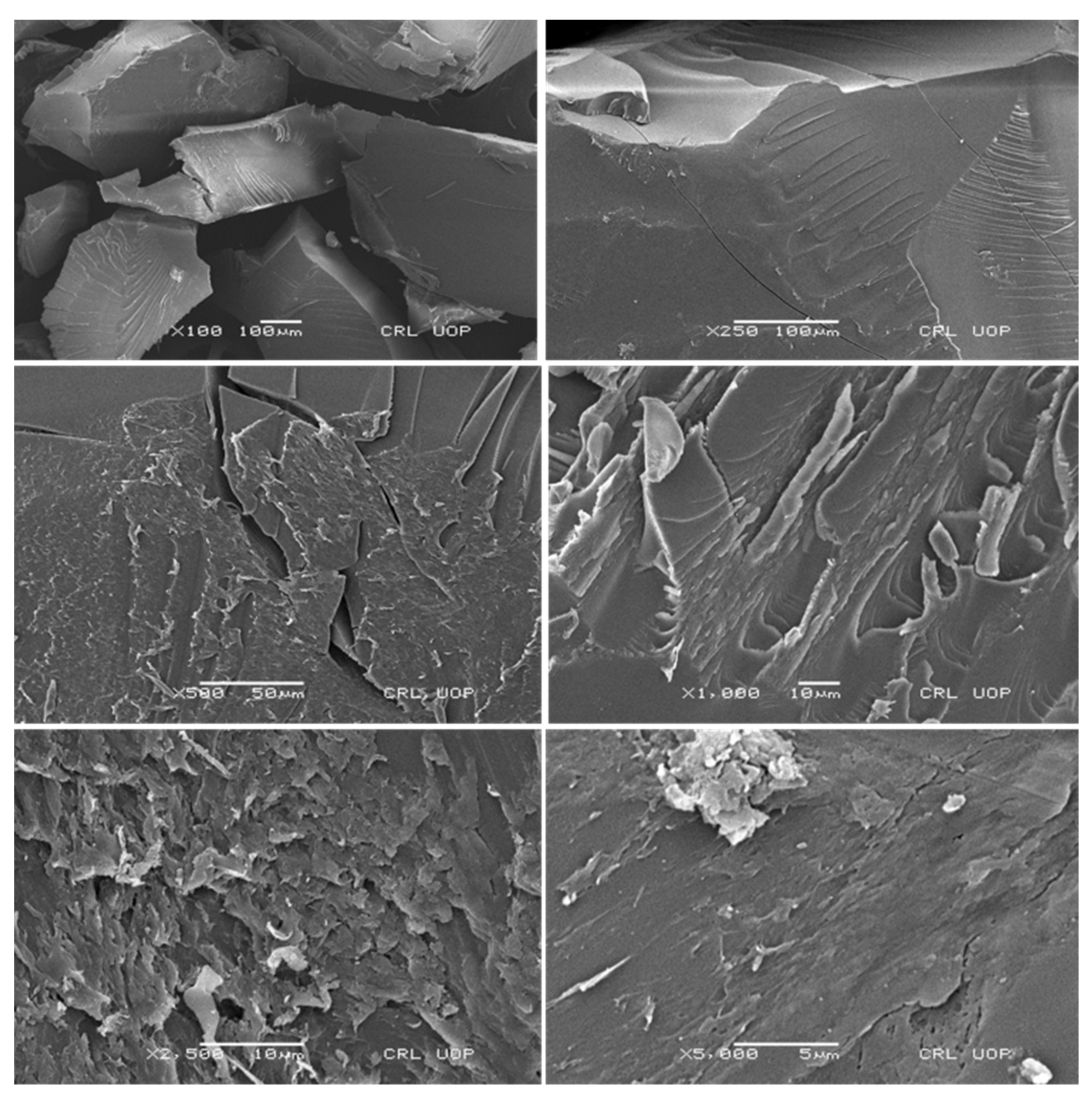 Pharmaceuticals 15 01527 g007 Pharmaceuticals 15 01527 g007