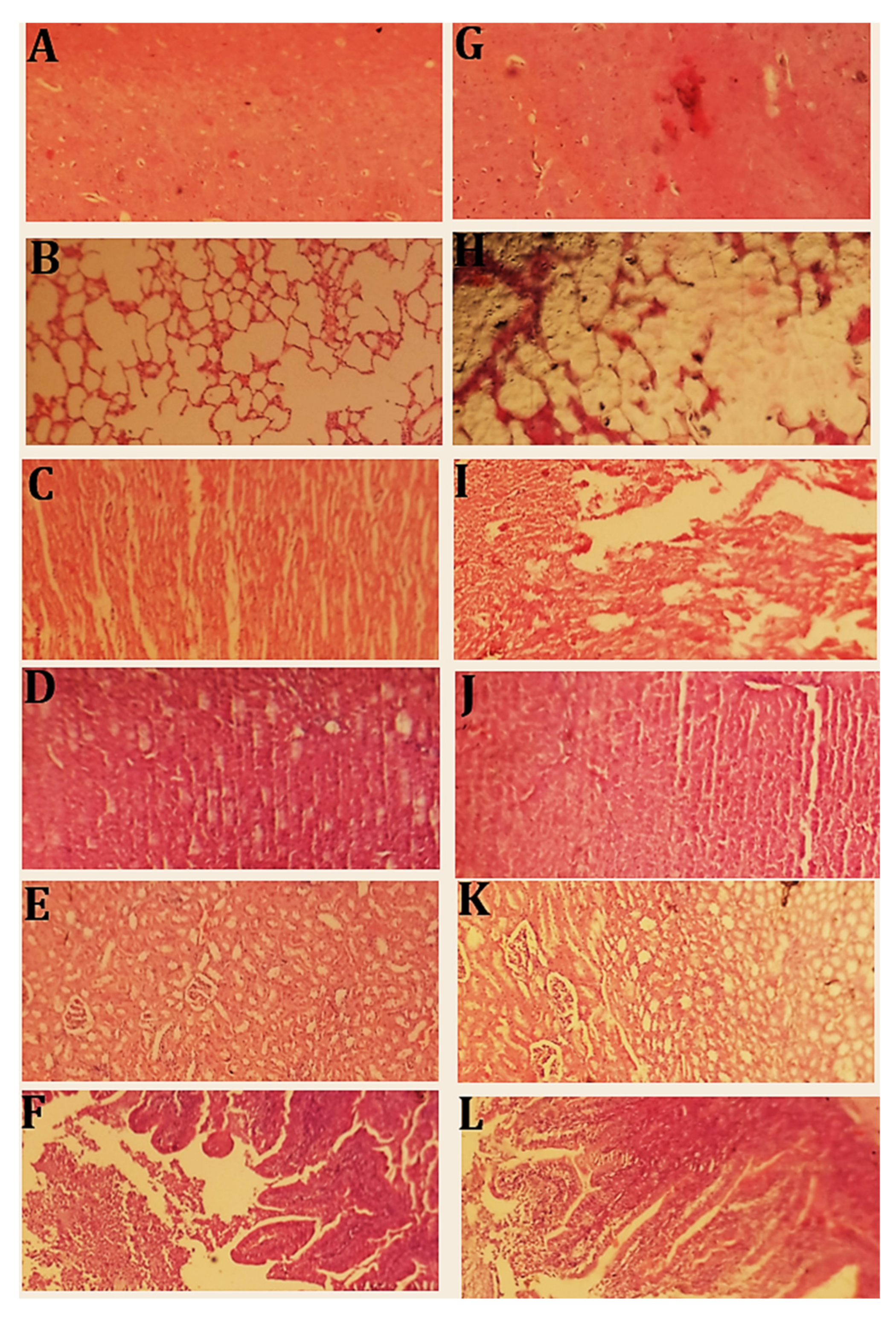 Pharmaceuticals 15 01527 g012 Pharmaceuticals 15 01527 g012
