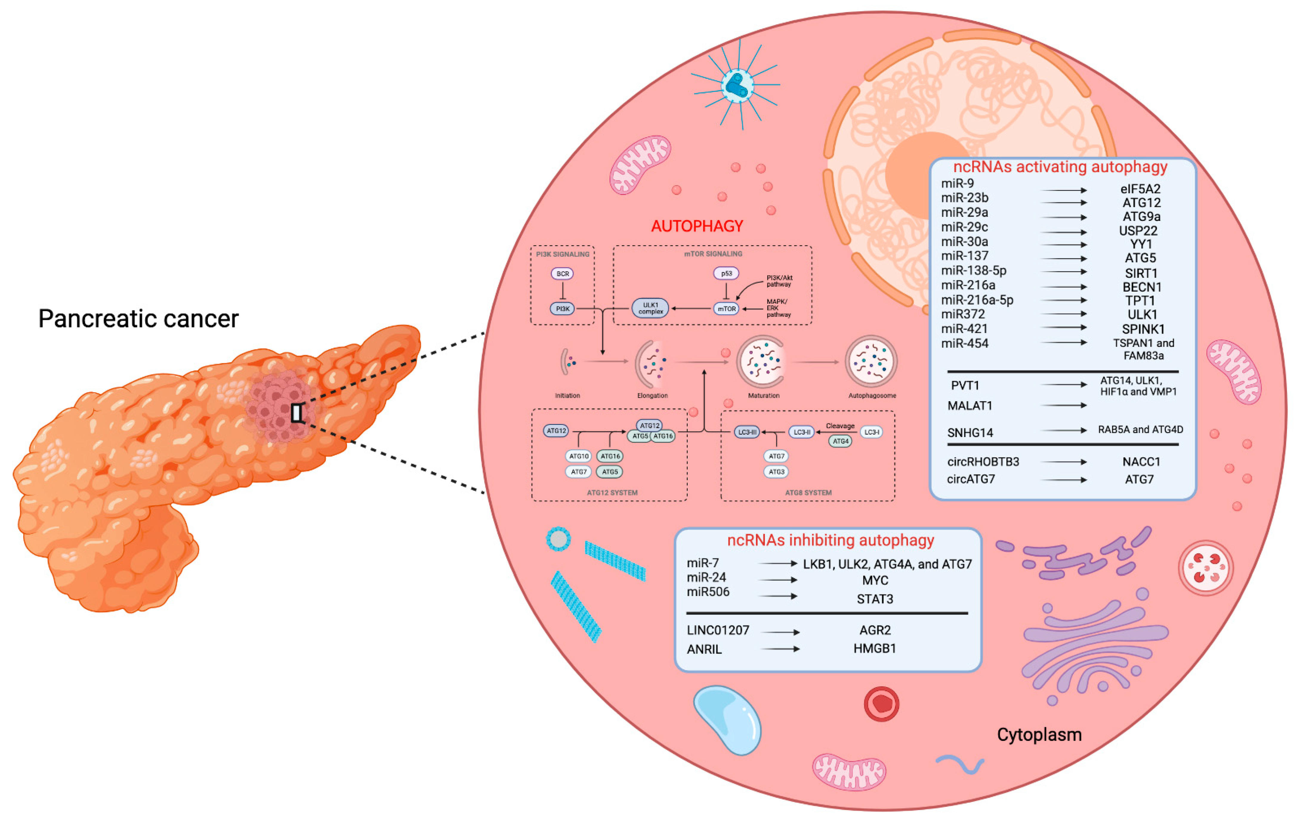 Pharmaceuticals 15 01547 g001 Pharmaceuticals 15 01547 g001