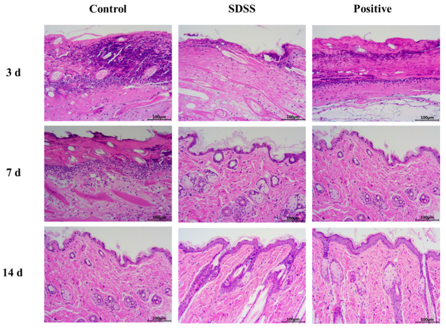 Pharmaceuticals 15 01548 g003