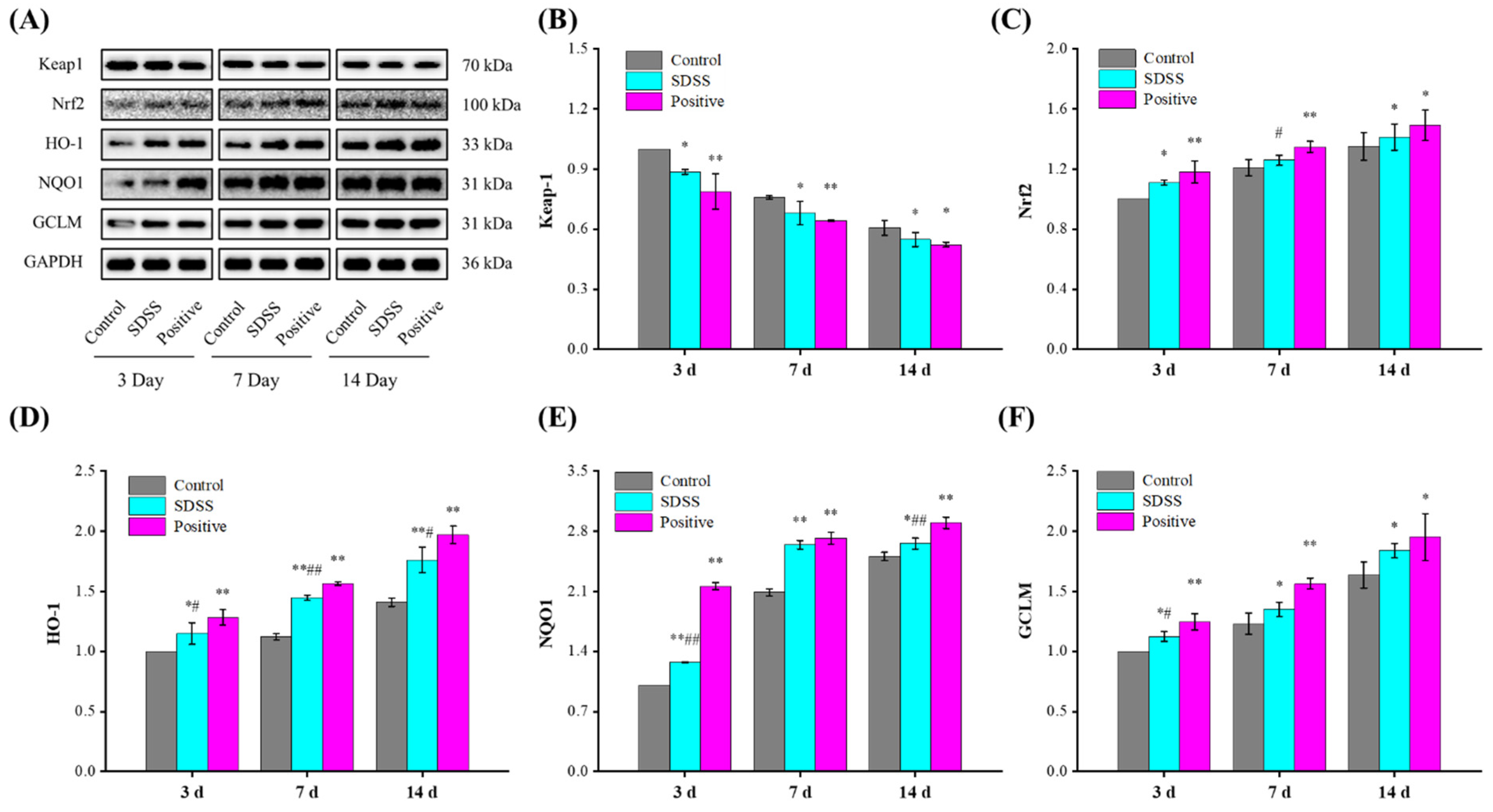 Pharmaceuticals 15 01548 g006