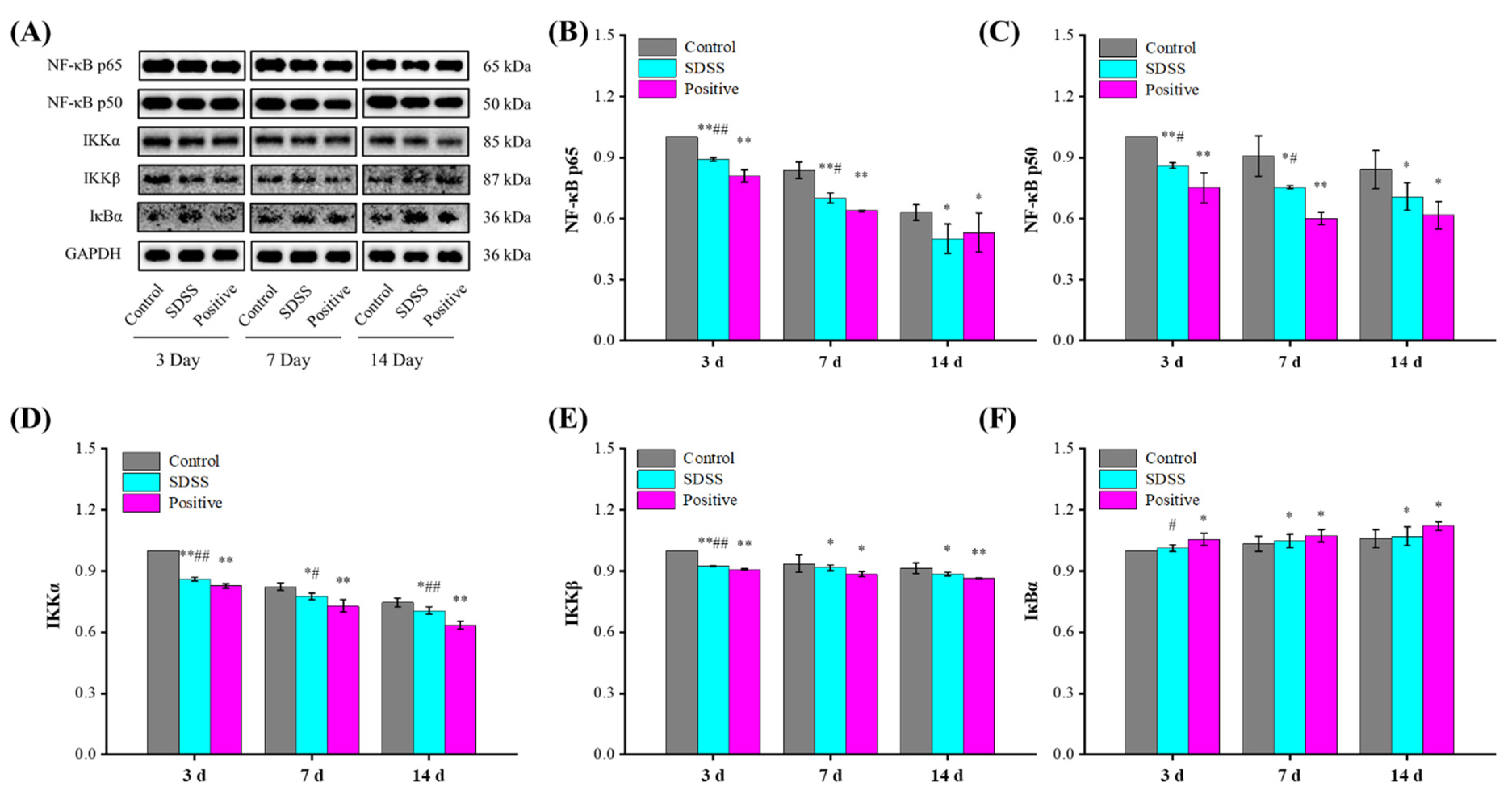 Pharmaceuticals 15 01548 g007