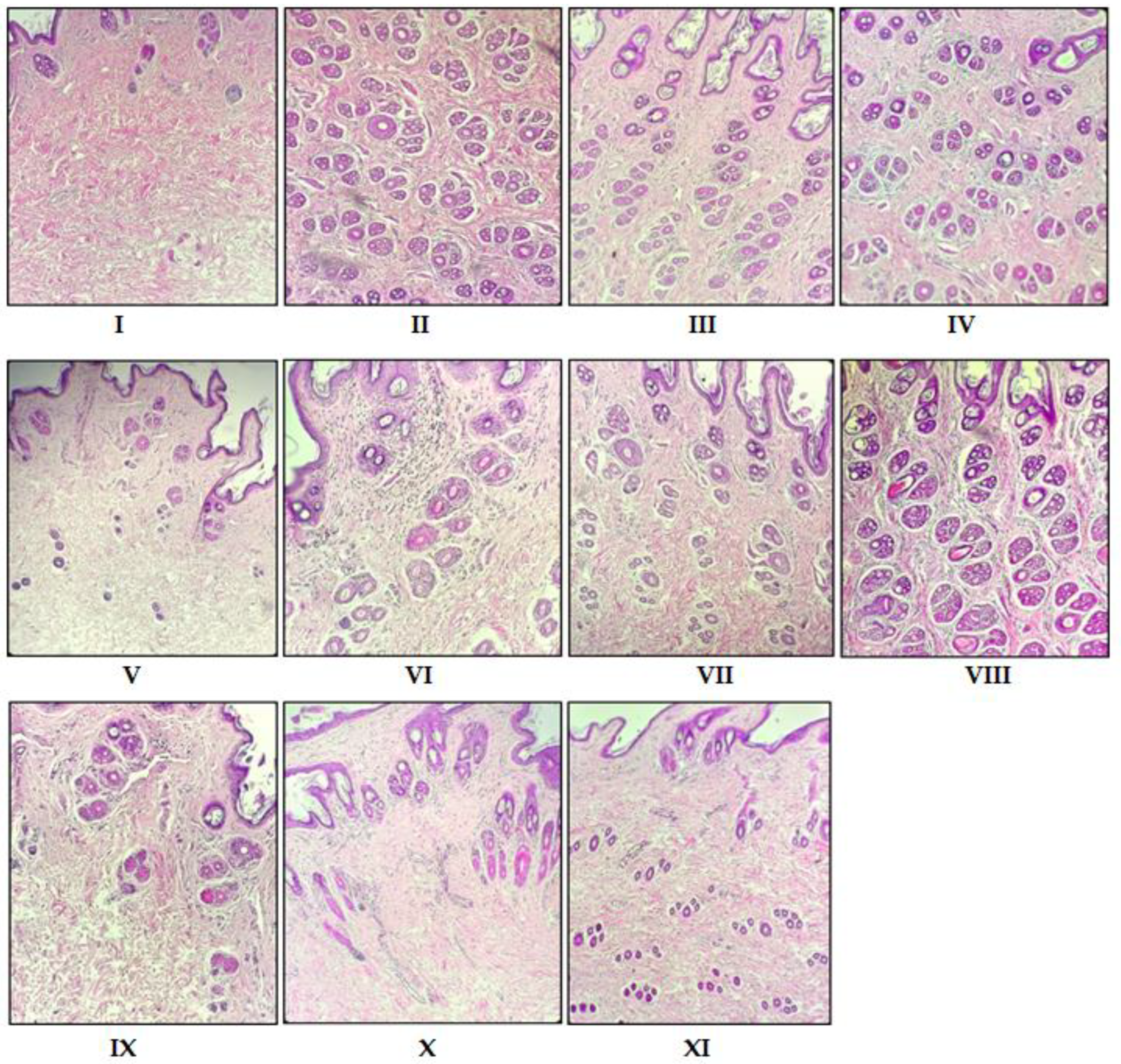 Pharmaceuticals 15 01557 g003