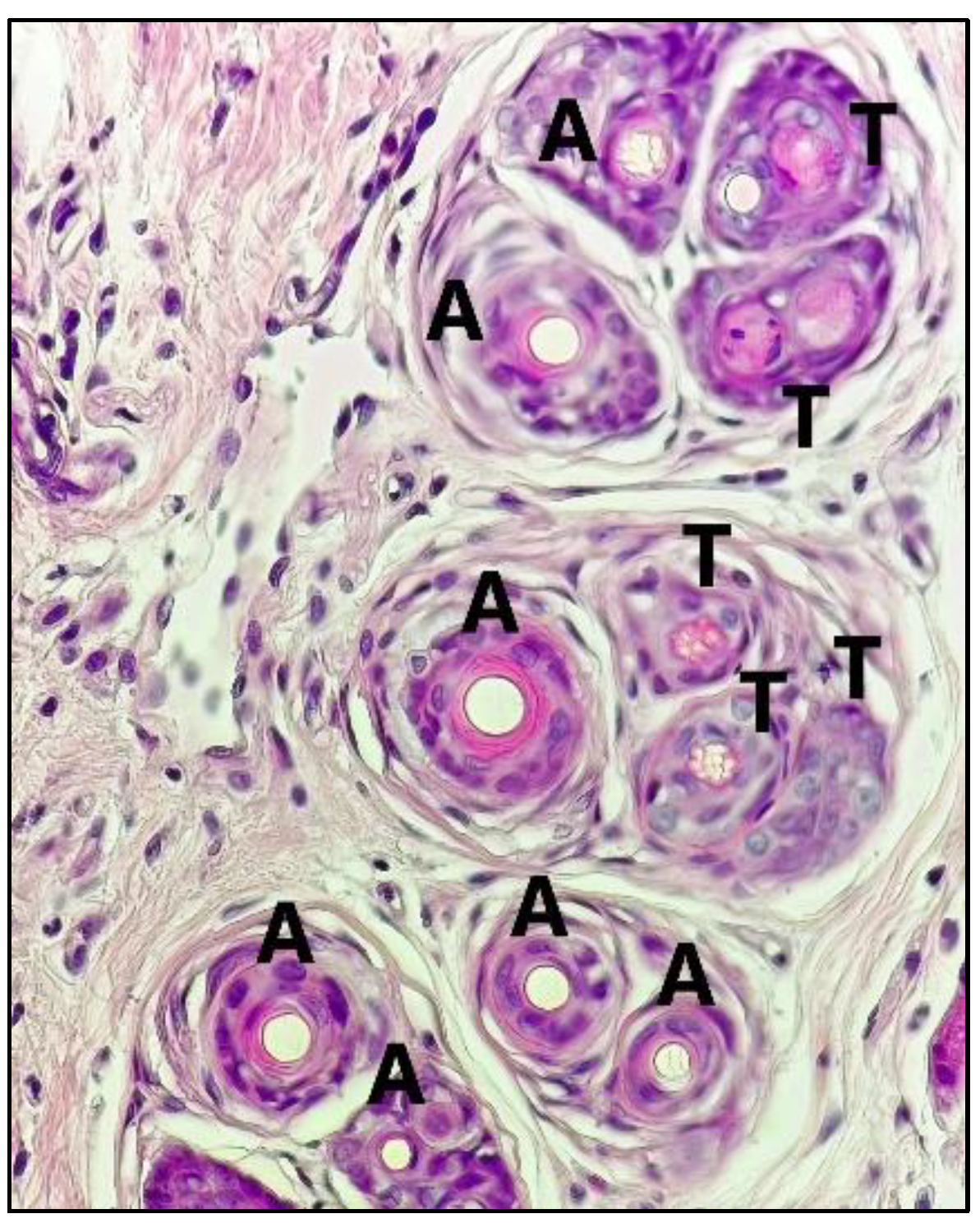 Pharmaceuticals 15 01557 g004