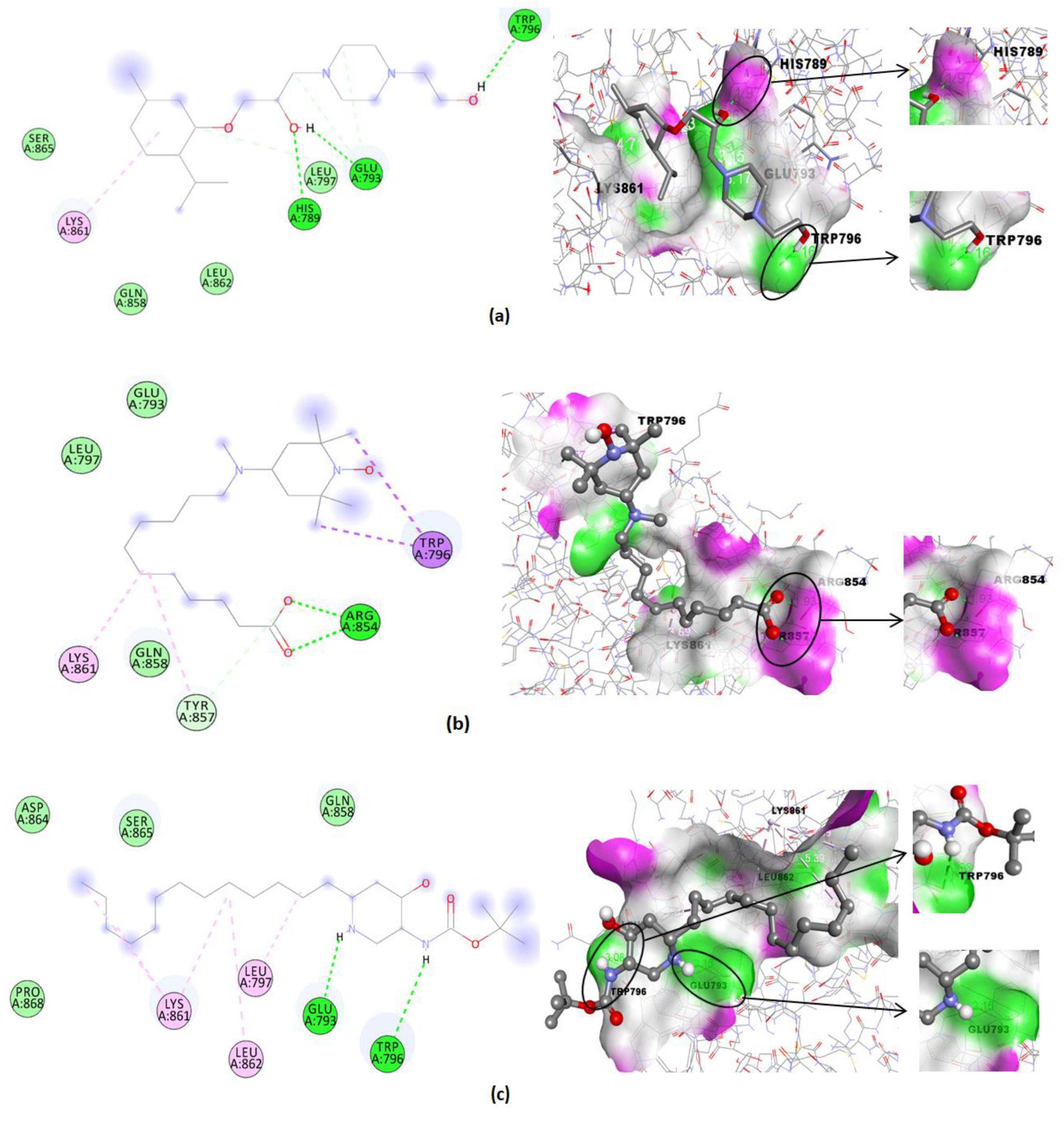 Pharmaceuticals 15 01557 g008a