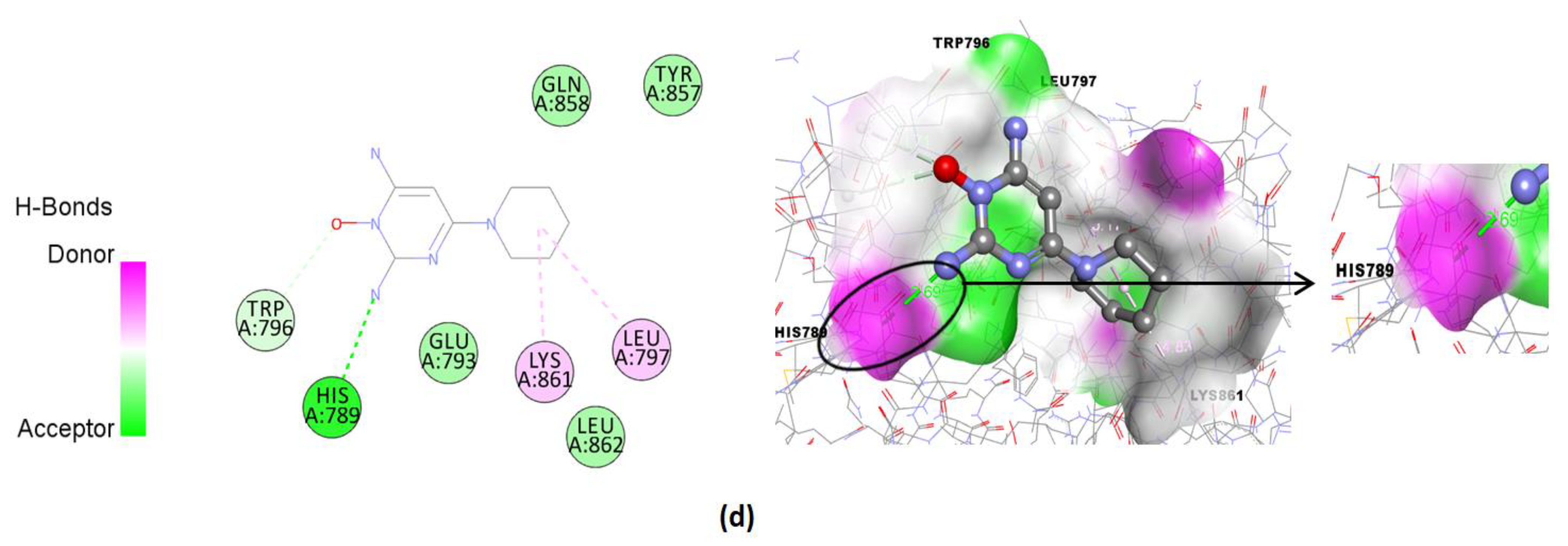 Pharmaceuticals 15 01557 g008b