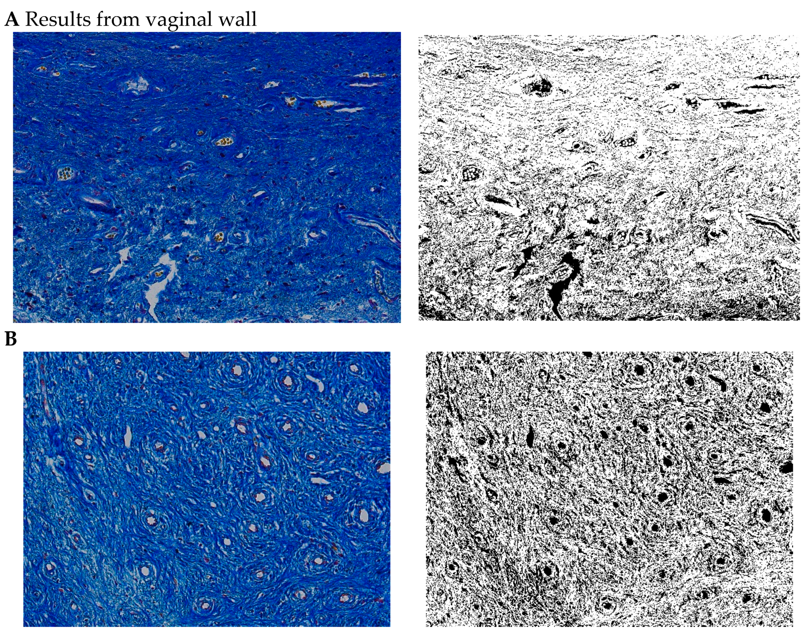 Pharmaceuticals 15 01571 g006