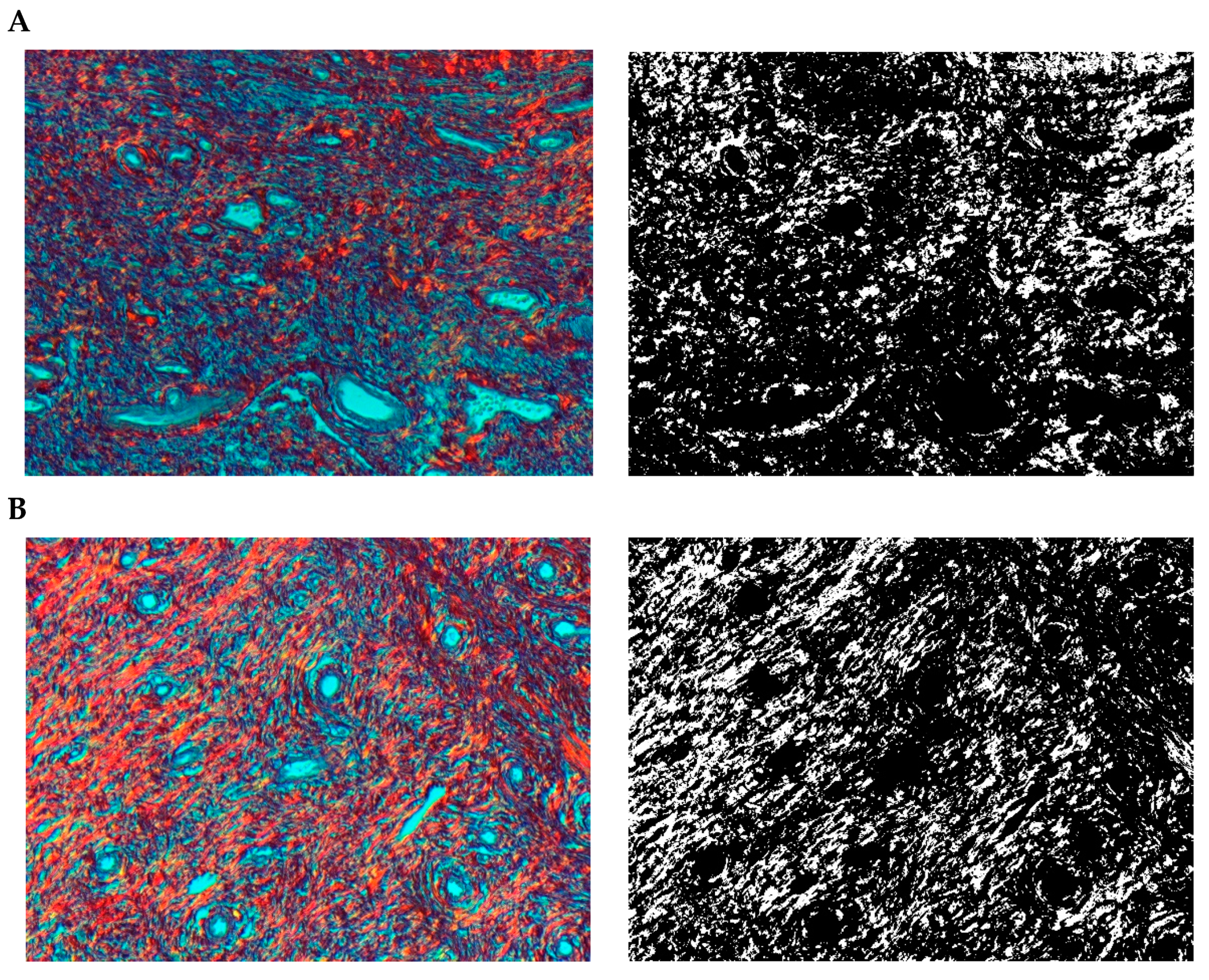 Pharmaceuticals 15 01571 g009