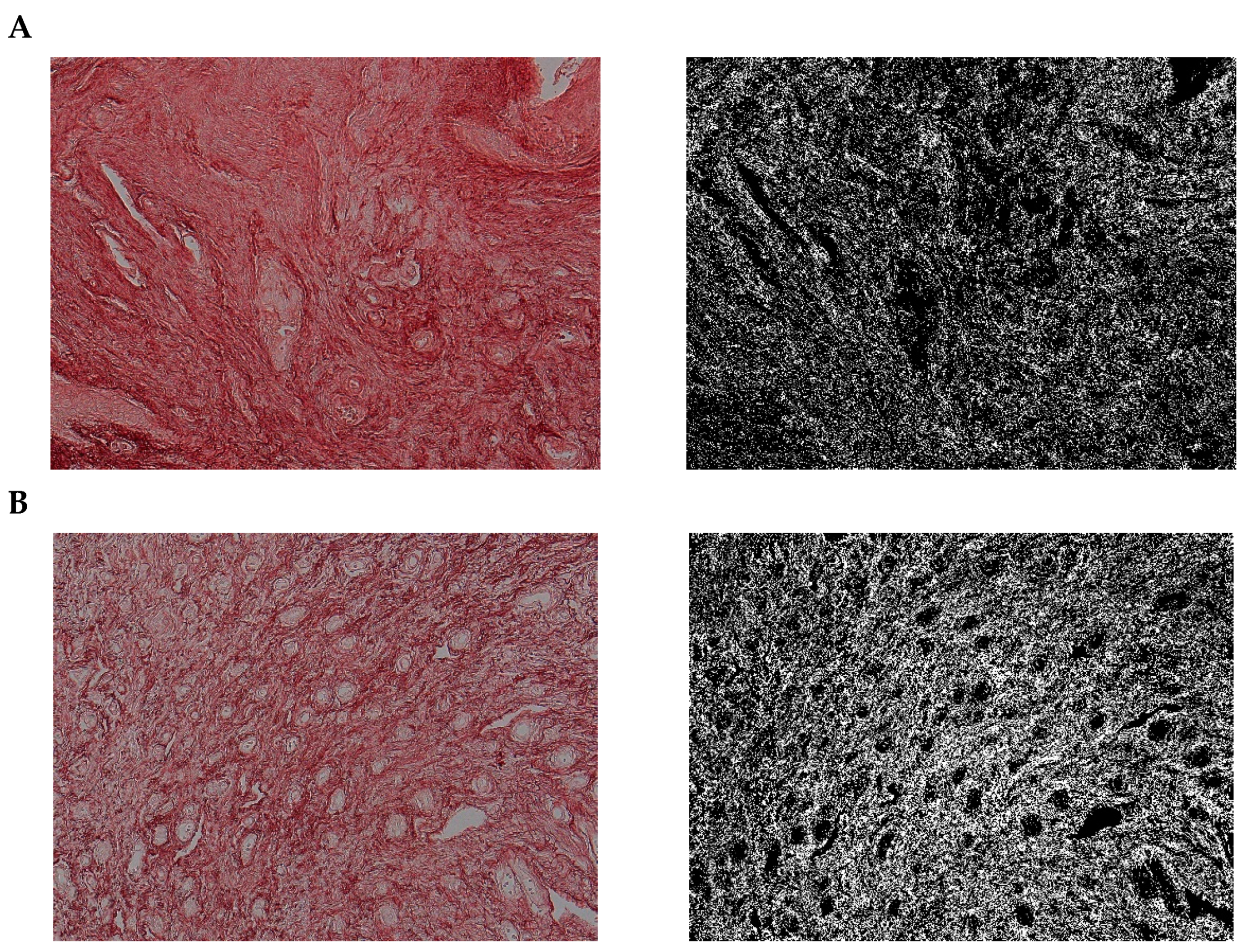 Pharmaceuticals 15 01571 g012