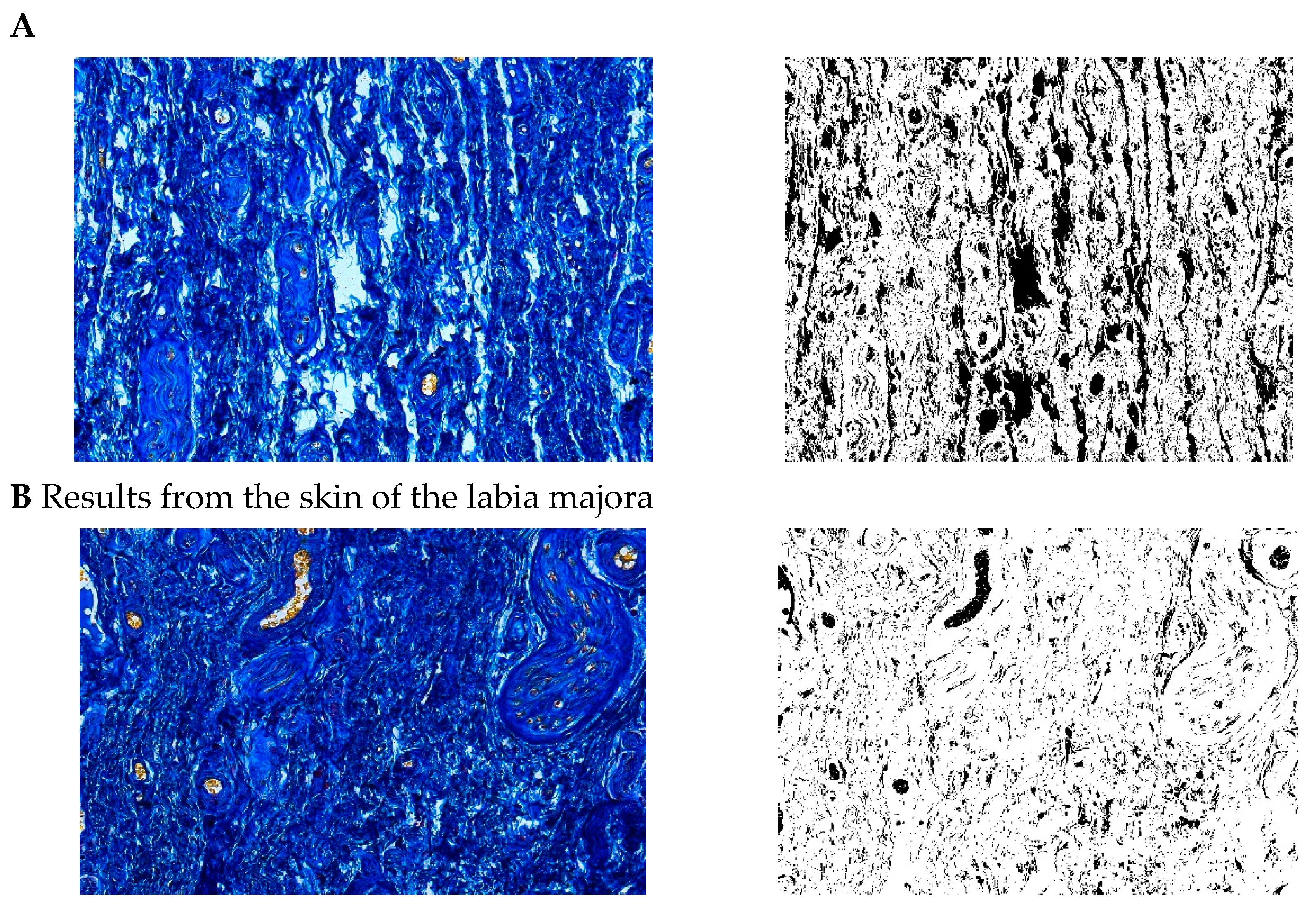 Pharmaceuticals 15 01571 g015