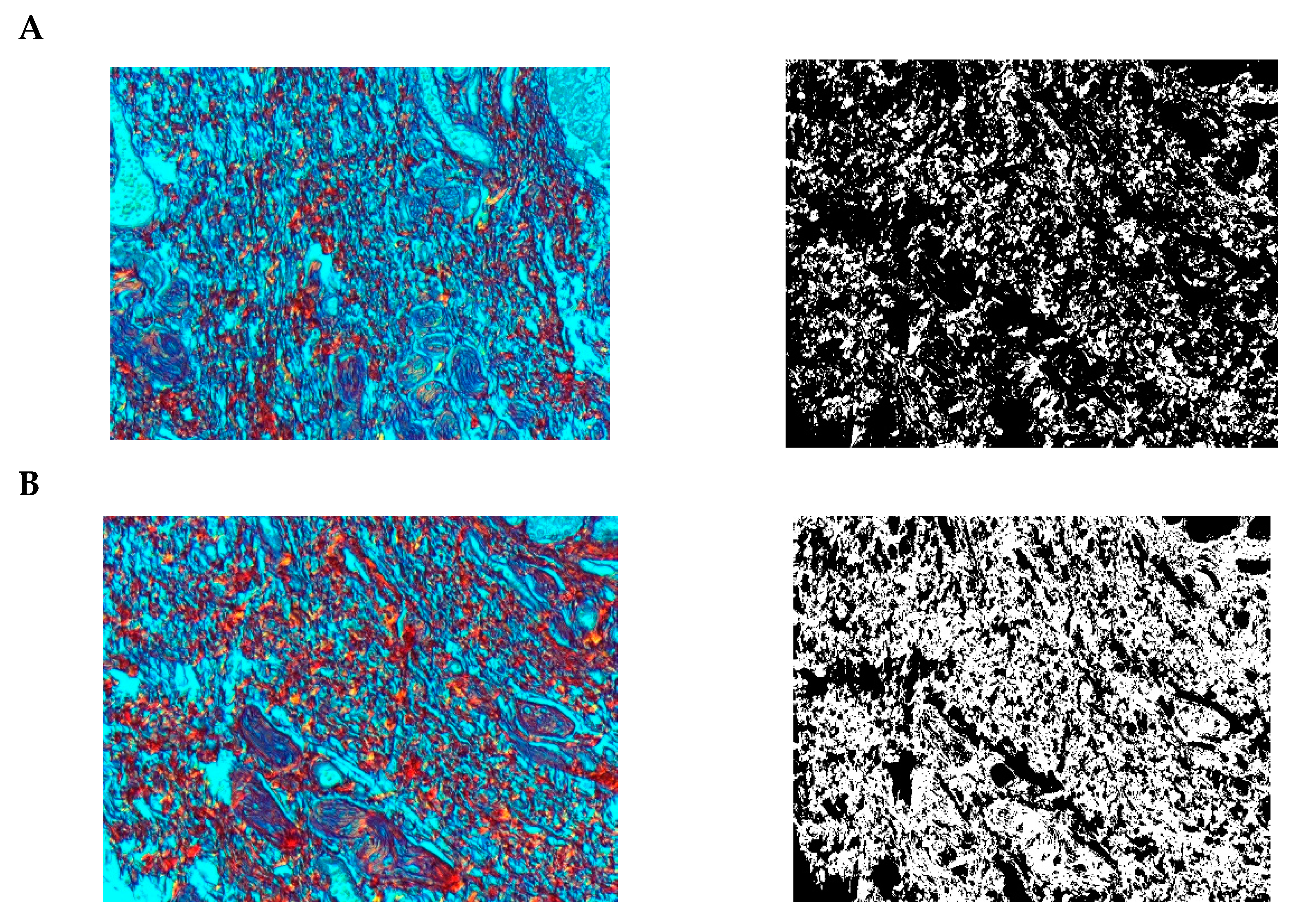 Pharmaceuticals 15 01571 g018